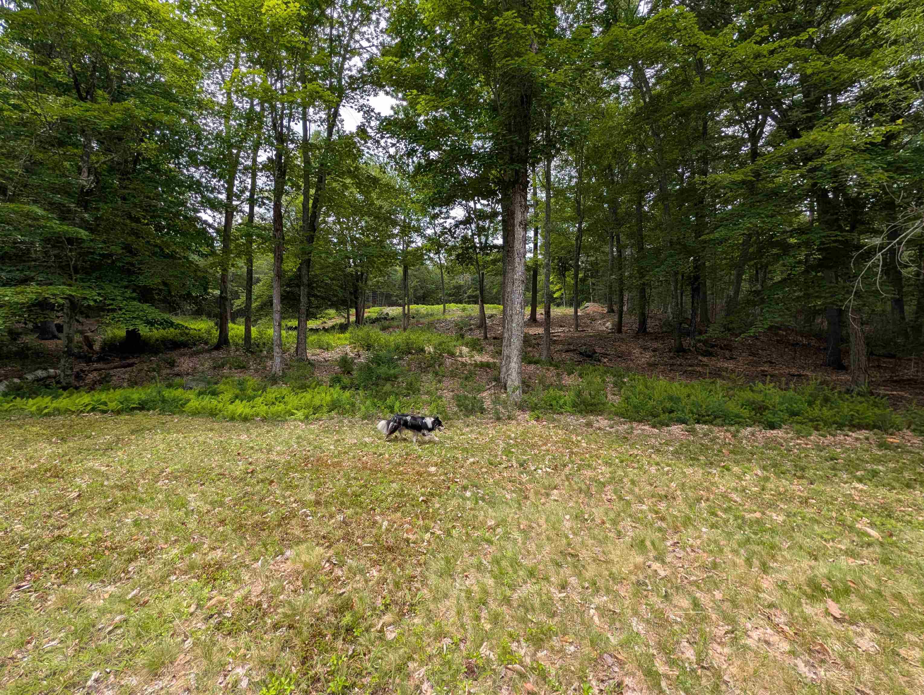70 High Ridge Road Property Photo 32