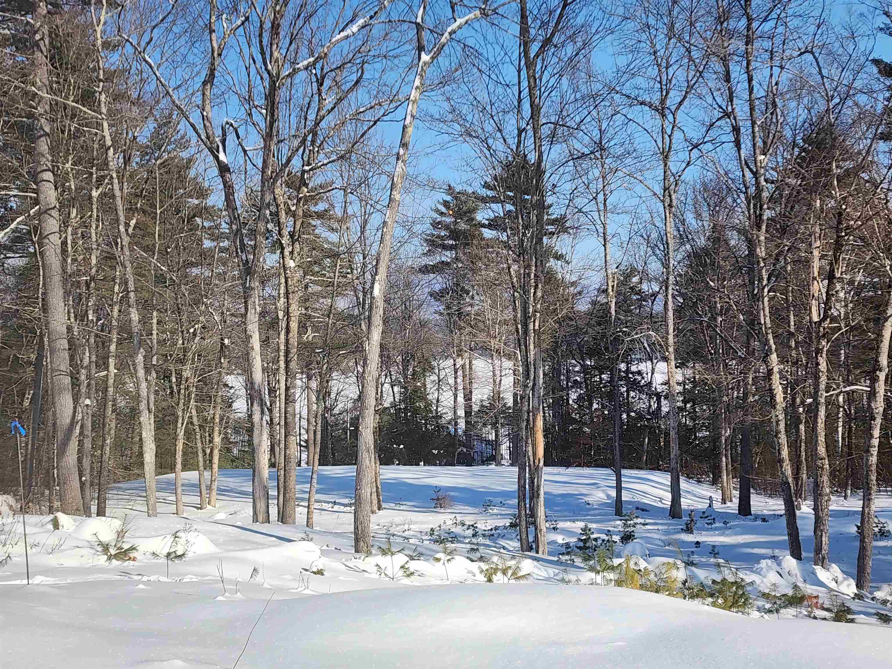 70 High Ridge Road Property Photo 41