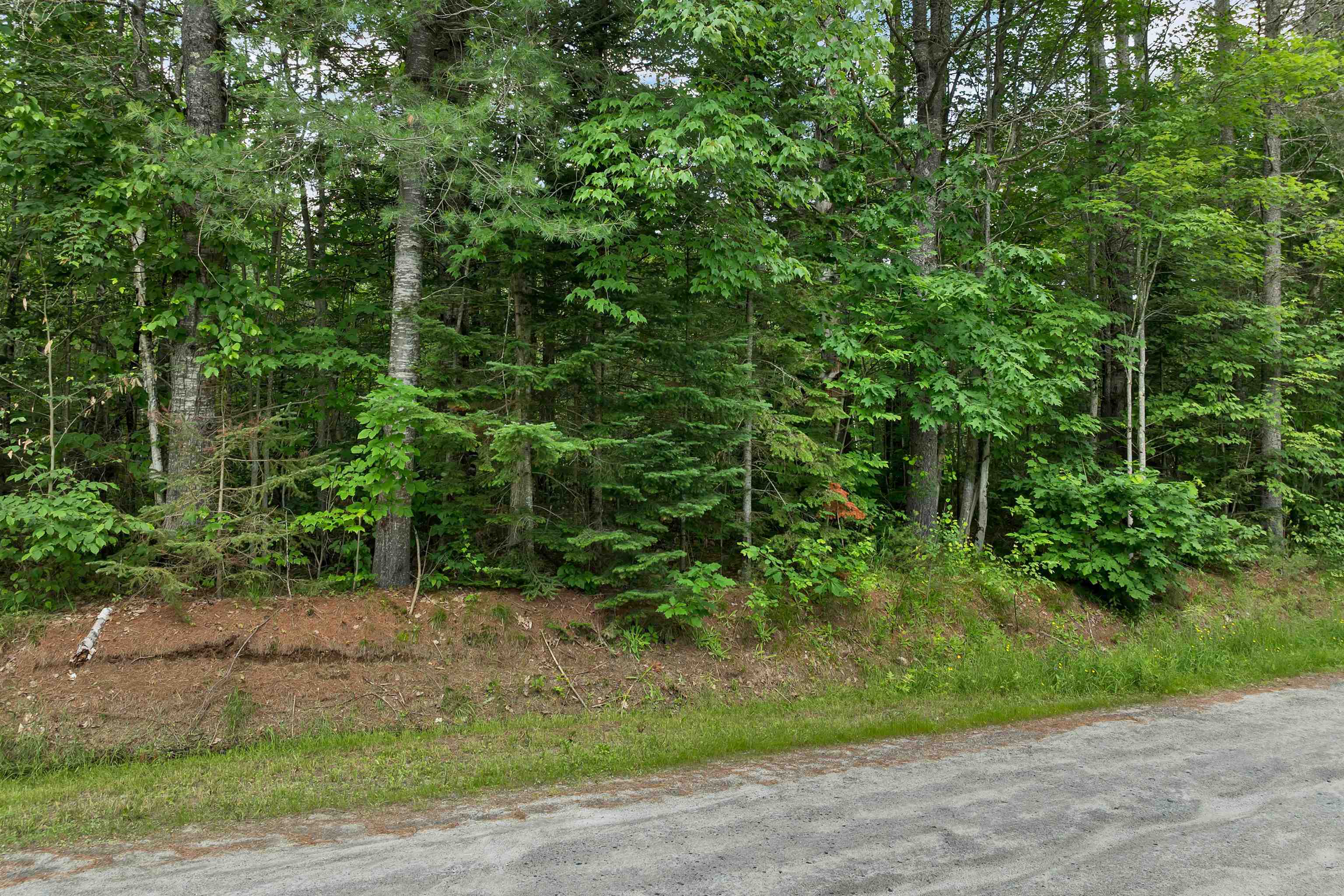 231-70-1 Crane Road Property Photo 6