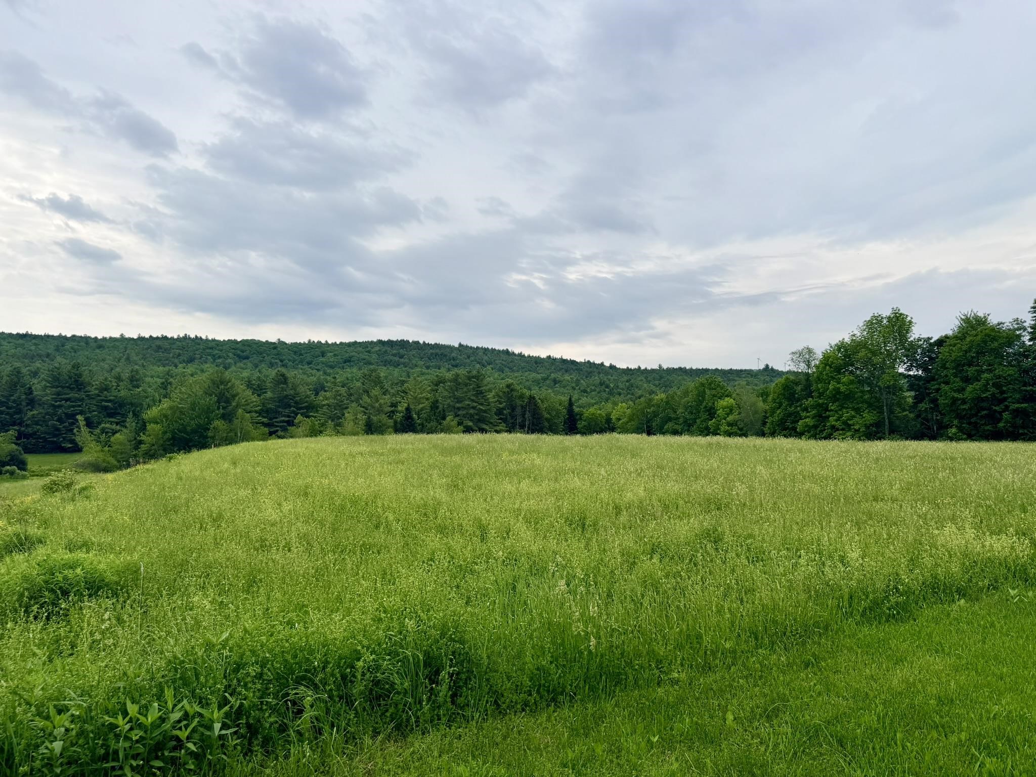 Tbd Route 100 Property Photo 14