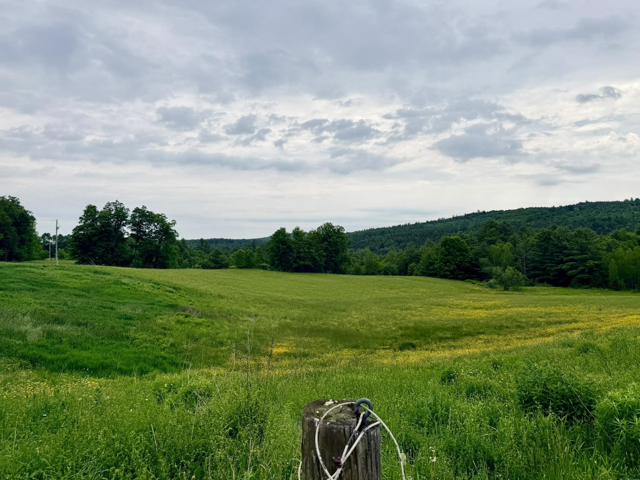 Tbd Route 100 Property Photo 15