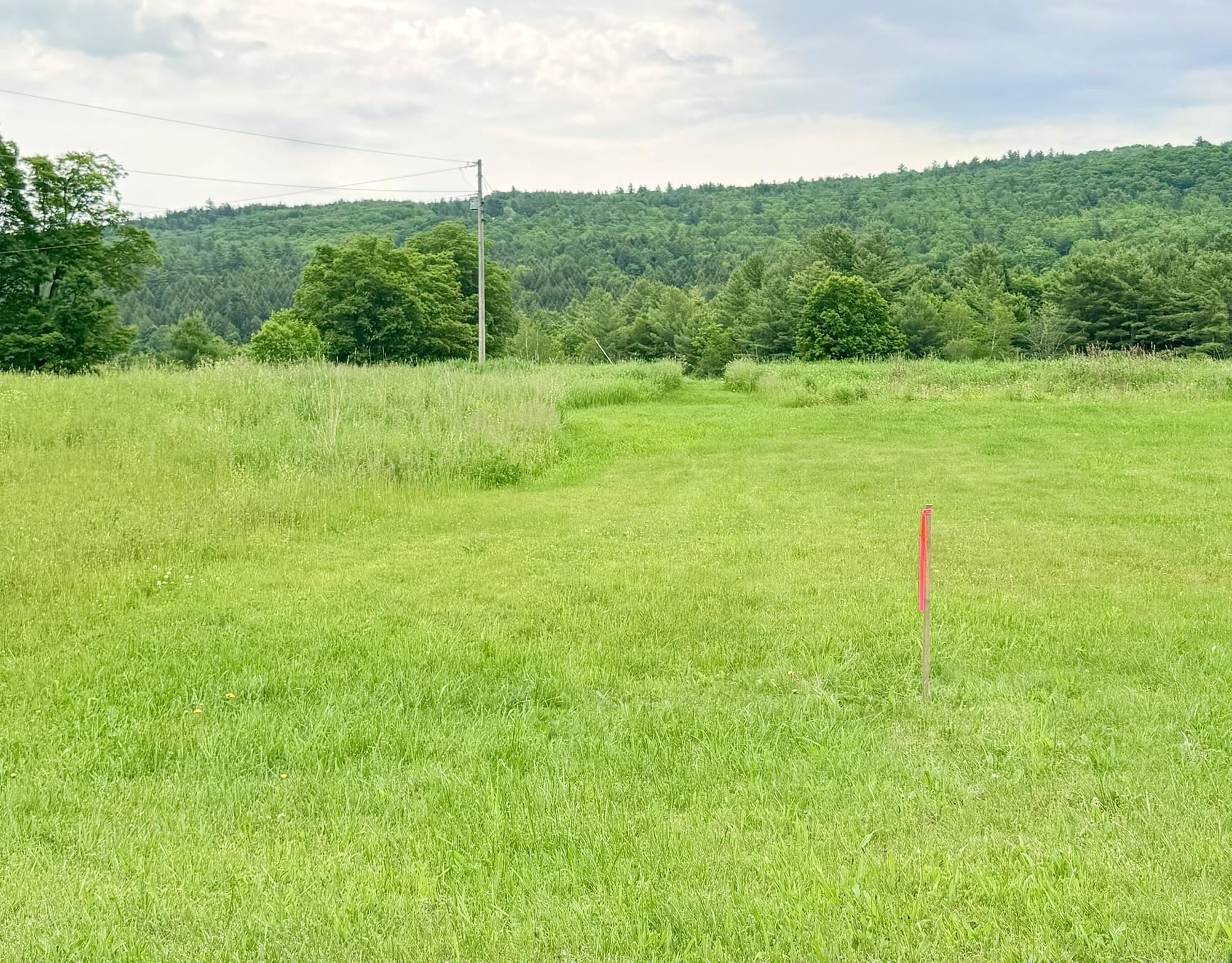 Tbd Route 100 Property Photo 16