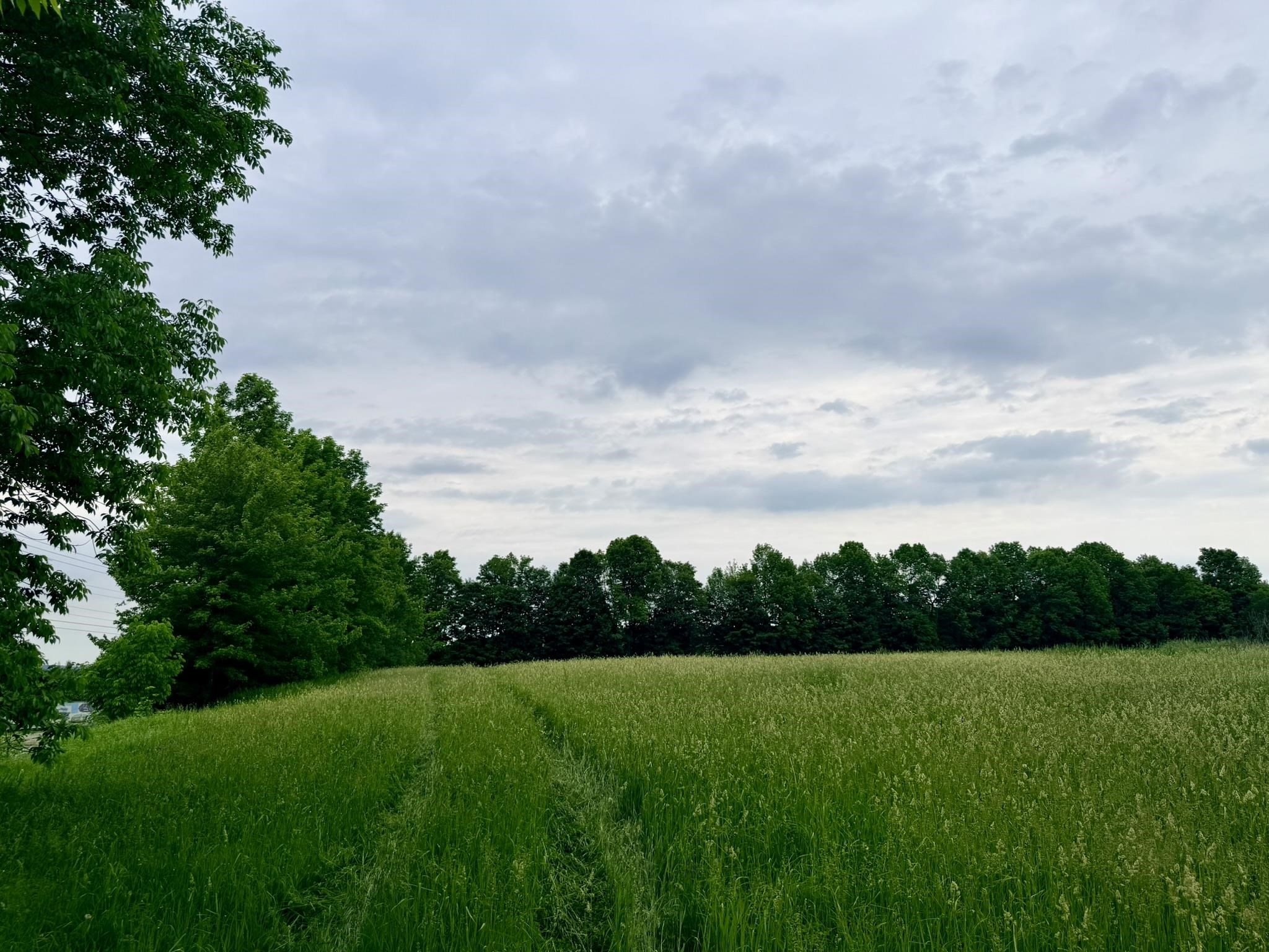Tbd Route 100 Property Photo 17