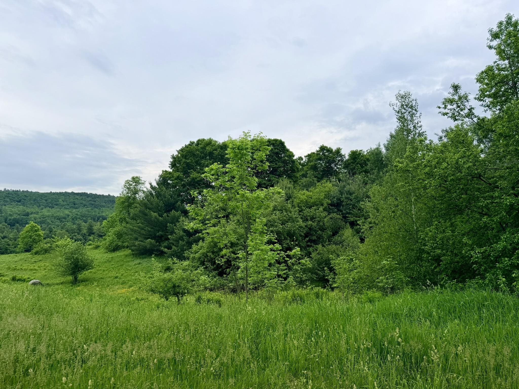 Tbd Route 100 Property Photo 18