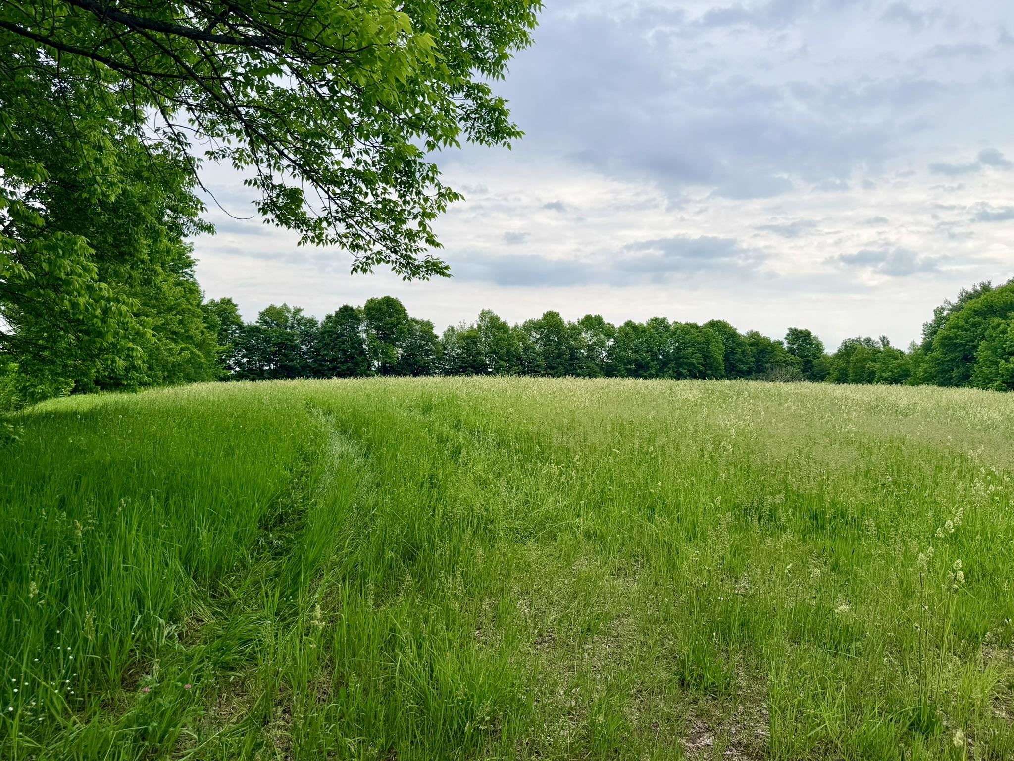 Tbd Route 100 Property Photo 19