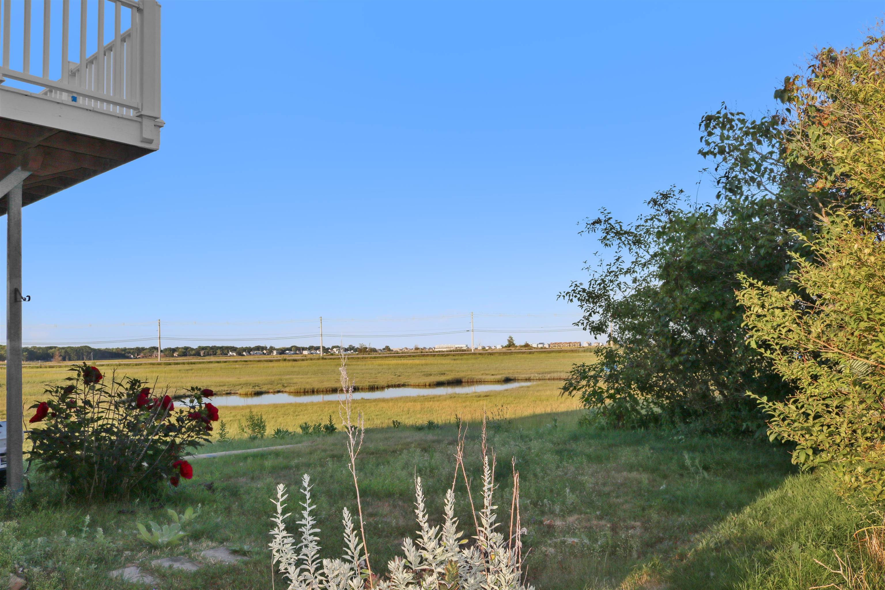 16 Bruce Street Property Photo 56