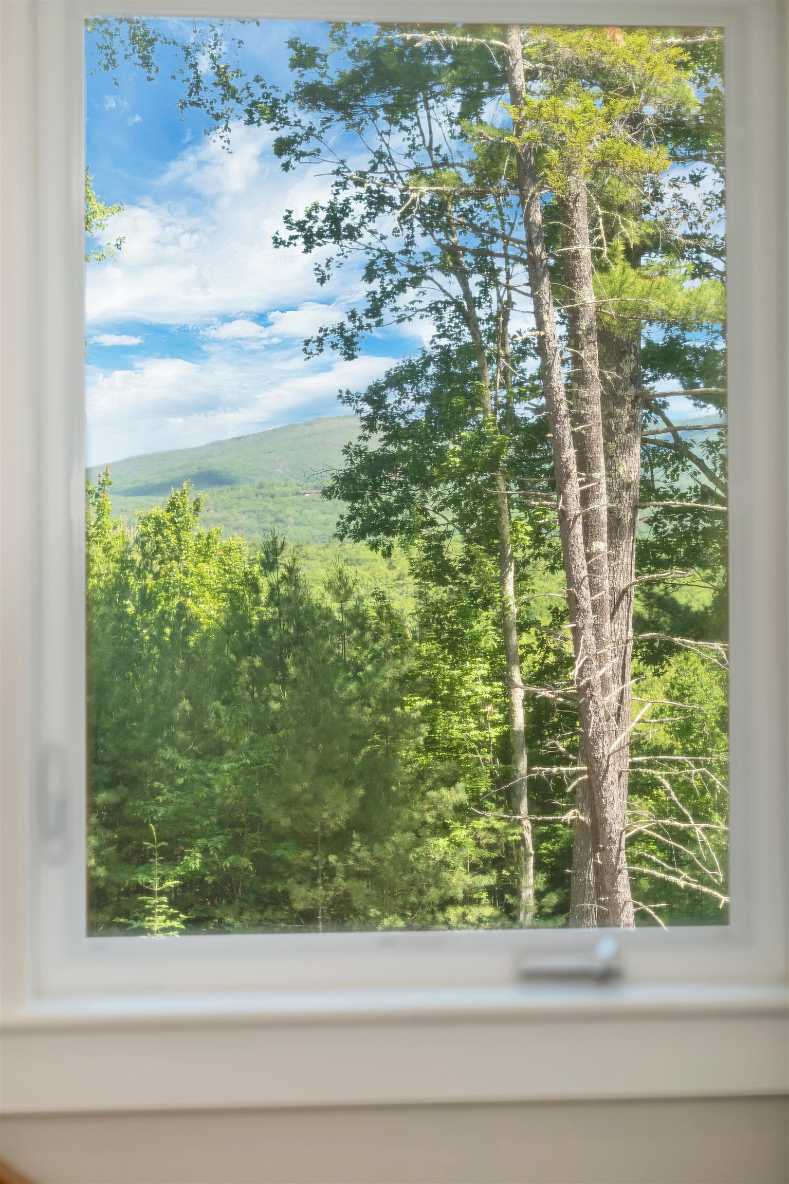 41 Beaver Pond Road Property Photo 10