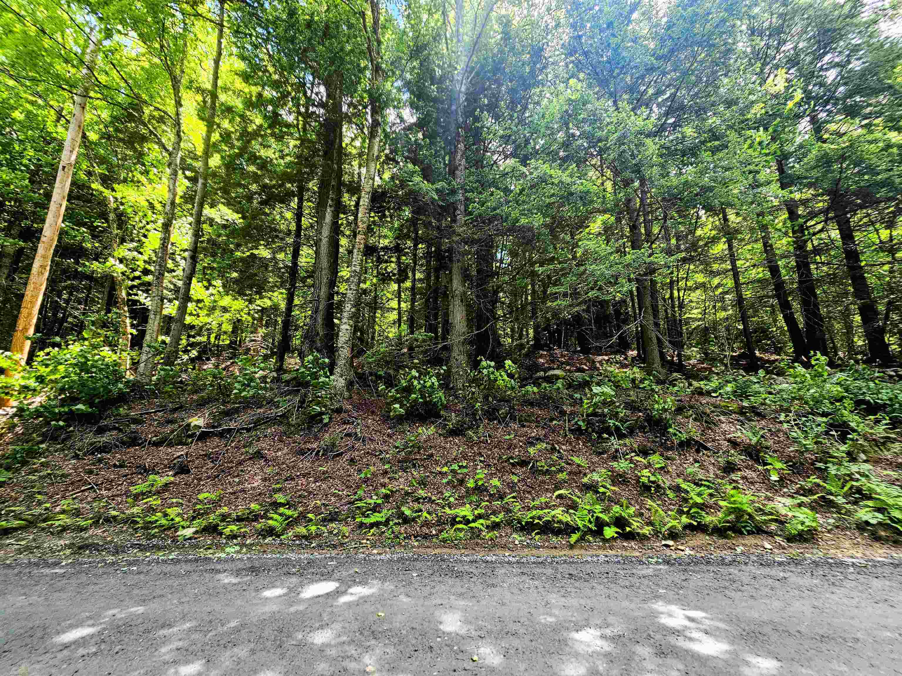Smead Road Property Photo 1