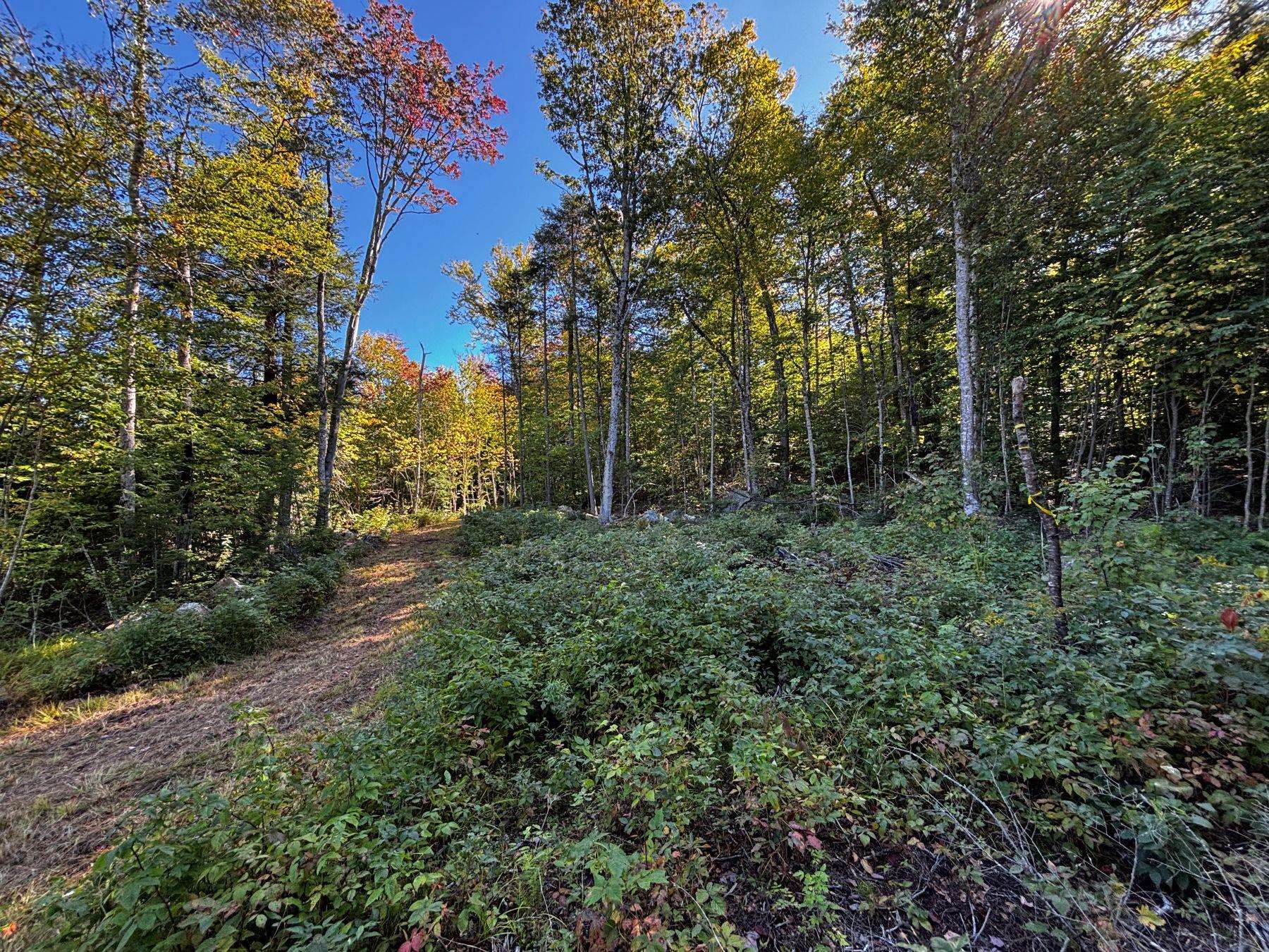 00 Little Pond Road Property Photo 17