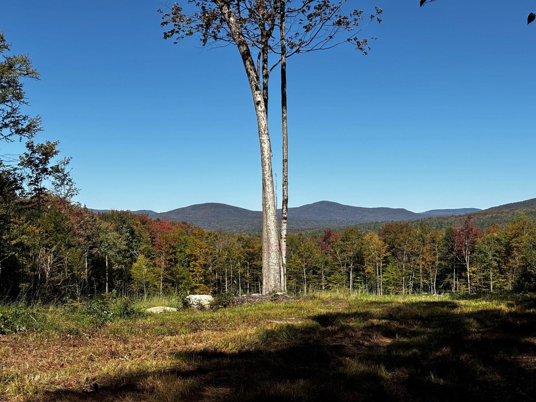 00 Little Pond Road Property Photo 18