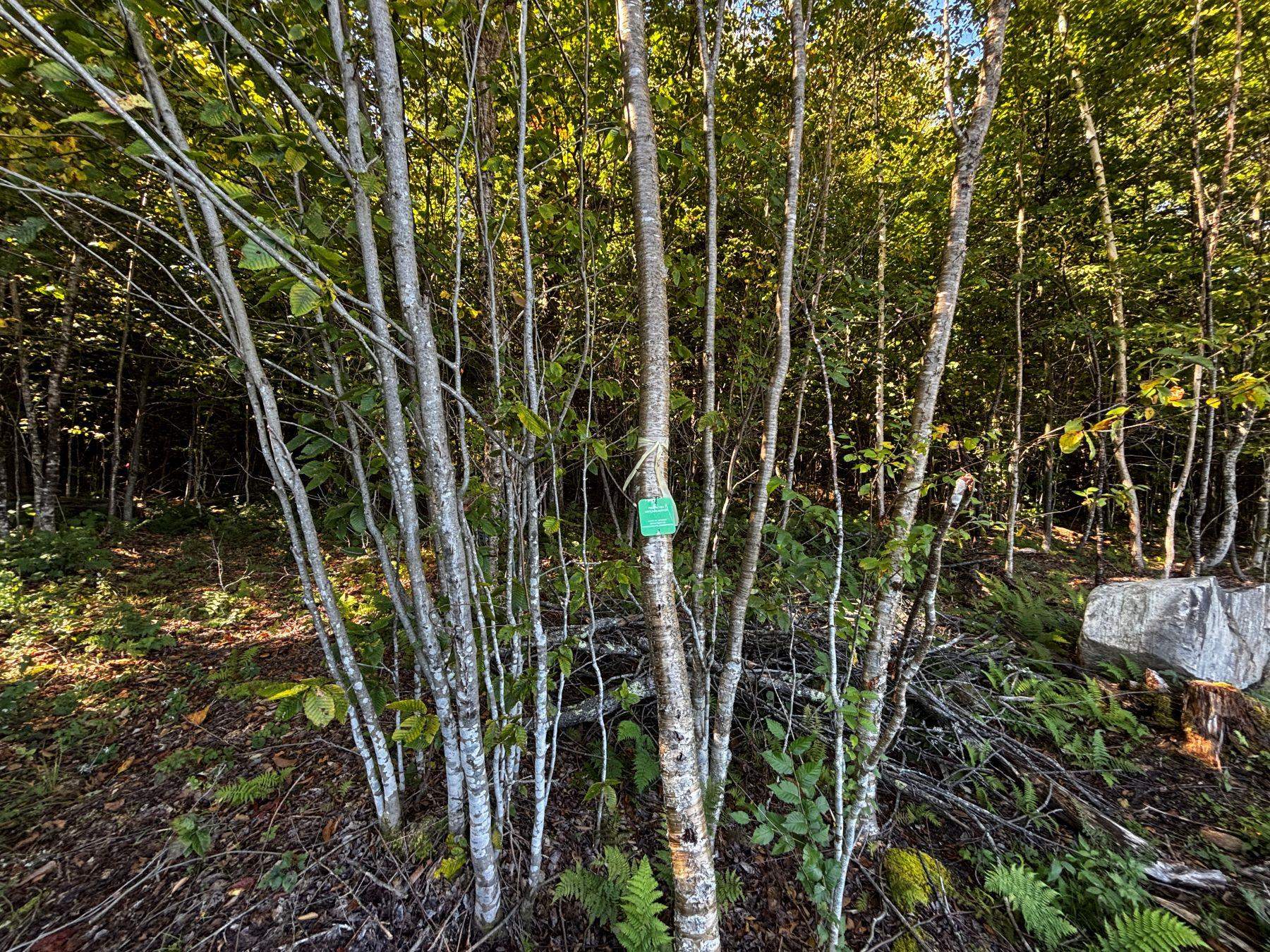 00 Little Pond Road Property Photo 22