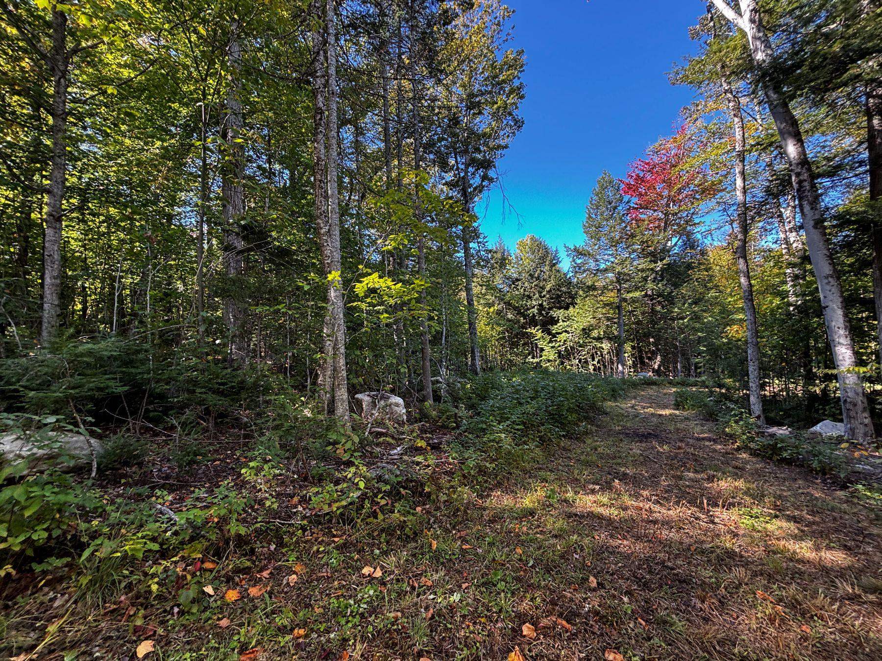 00 Little Pond Road Property Photo 28