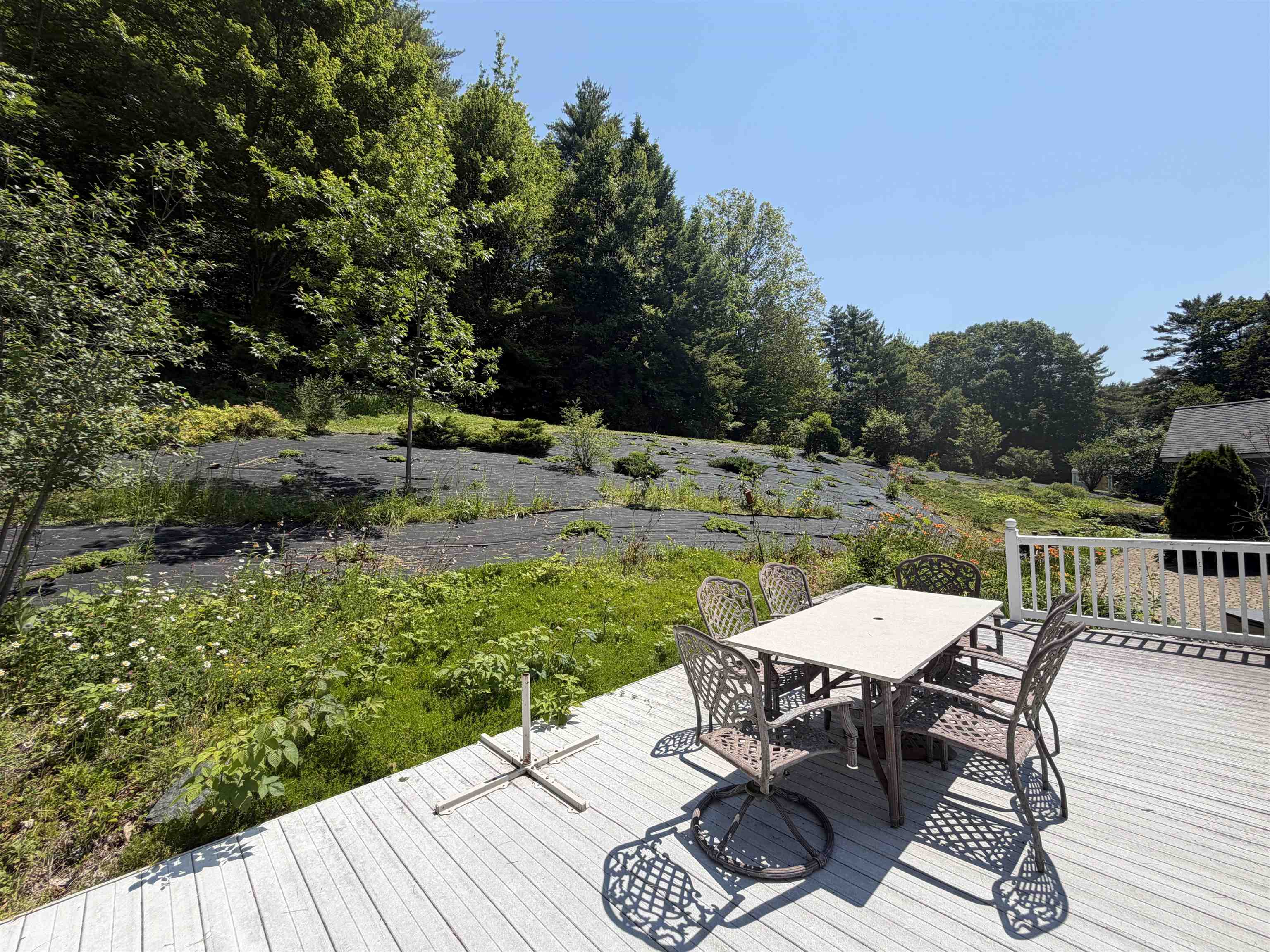 478 Jarvis Hill Road Property Photo 31