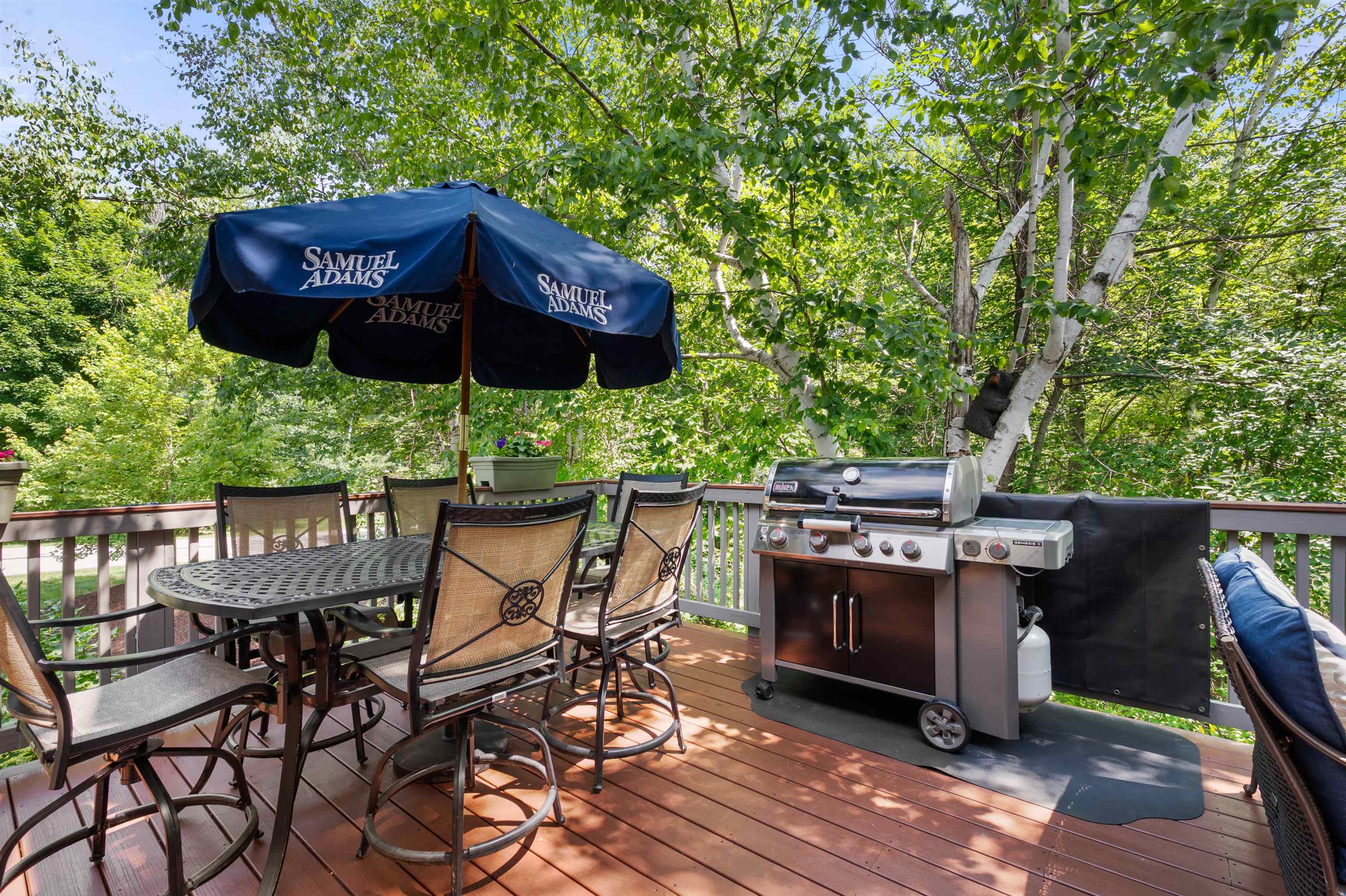 6 Tartan Hollow Property Photo 33