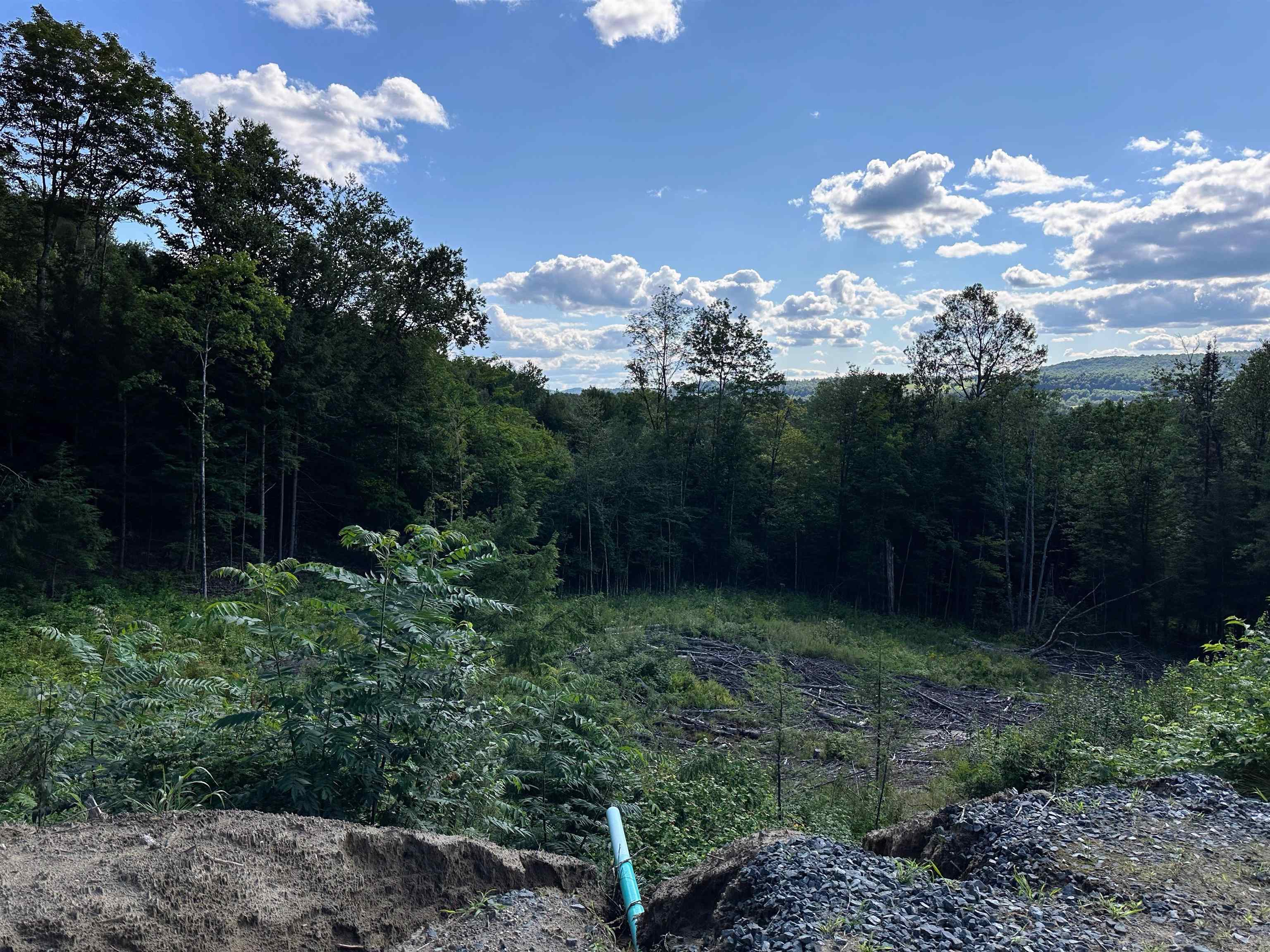 702 Mount Pisgah Road Property Photo 4