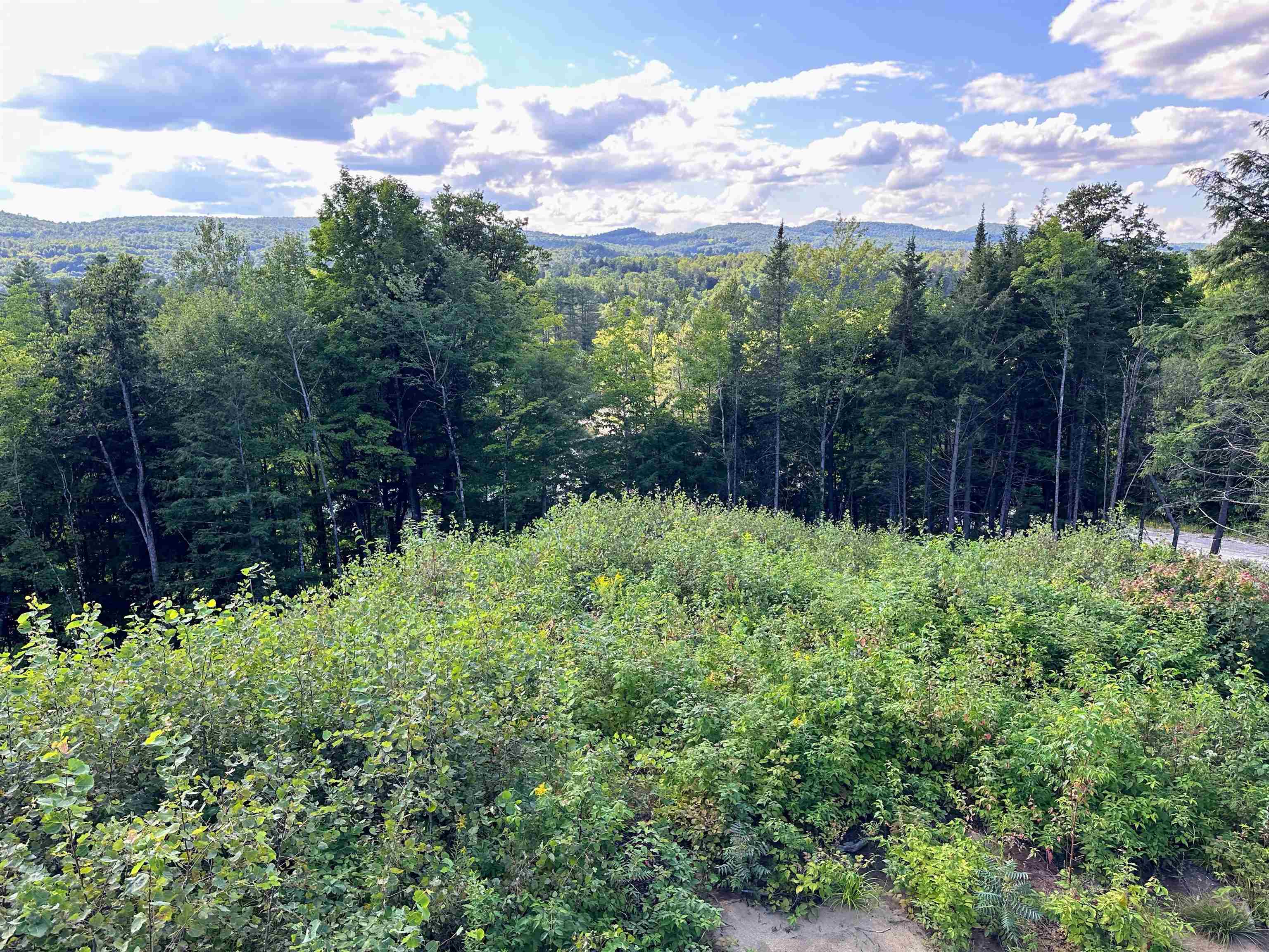 702 Mount Pisgah Road Property Photo 7