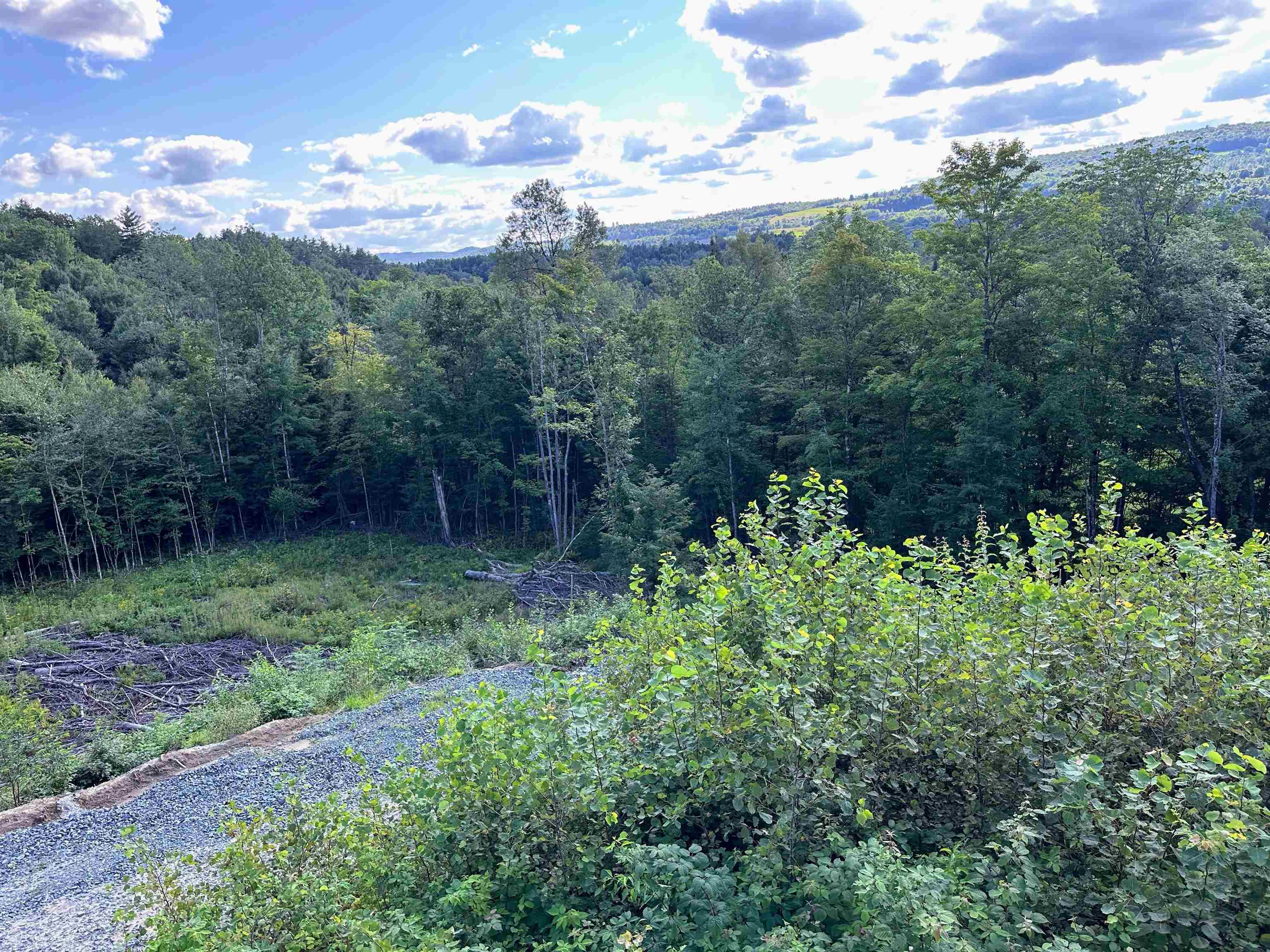 702 Mount Pisgah Road Property Photo 8