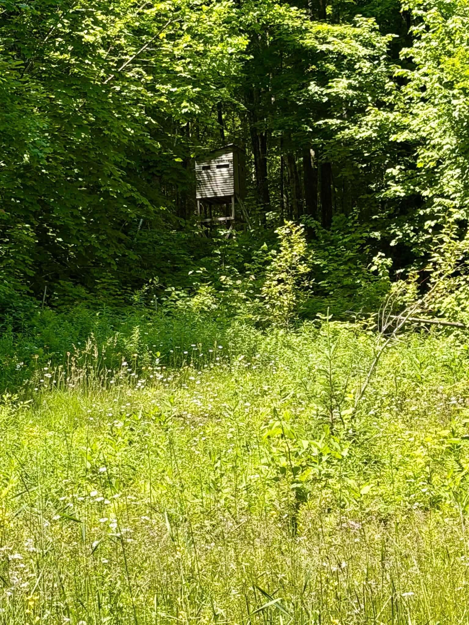 801 Red Schoolhouse Road Property Photo 7