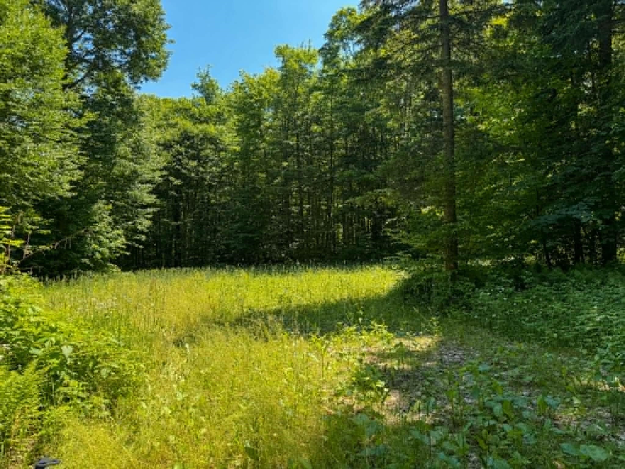 801 Red Schoolhouse Road Property Photo 8