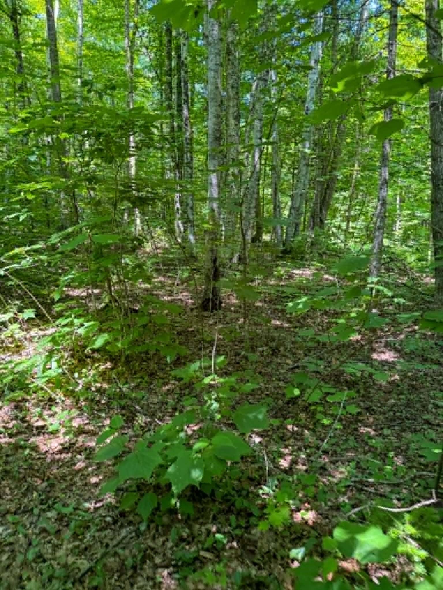 801 Red Schoolhouse Road Property Photo 10