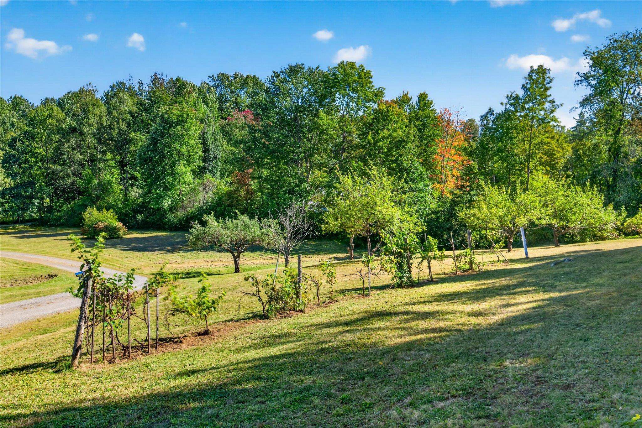 661 Wright Orchard Road Property Photo 49