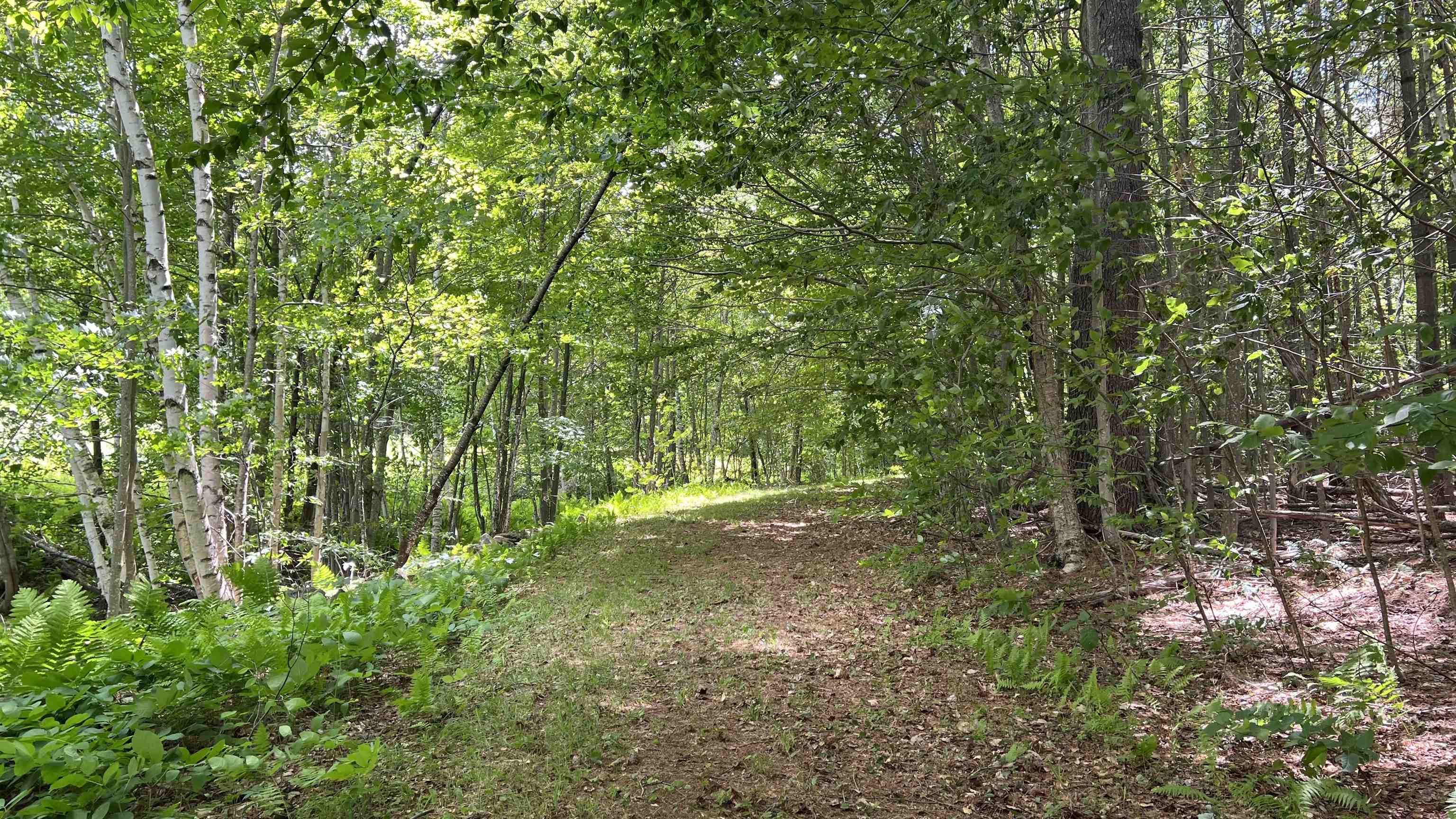 412 Hall Ranch Road Property Photo 45
