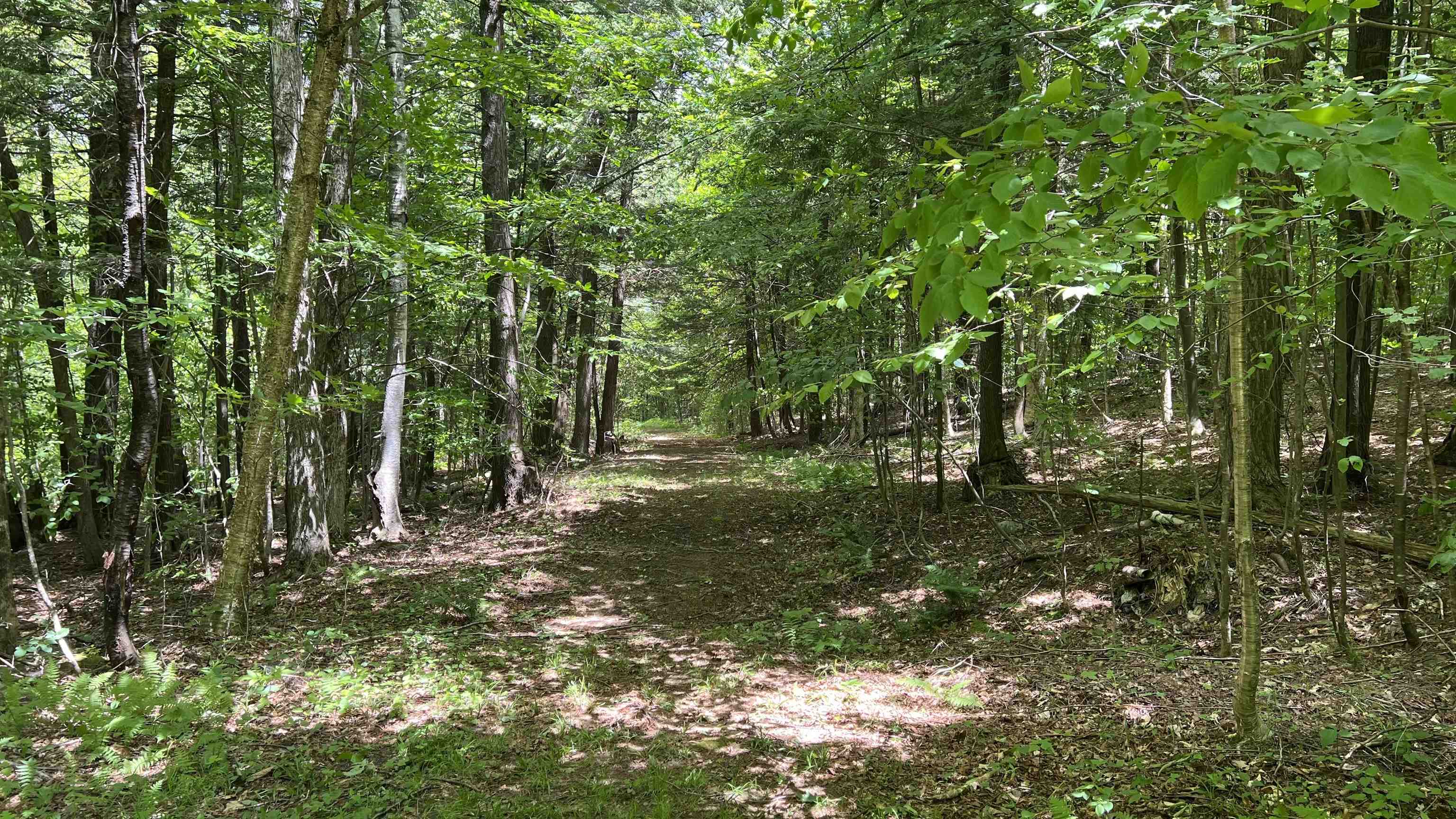 412 Hall Ranch Road Property Photo 48