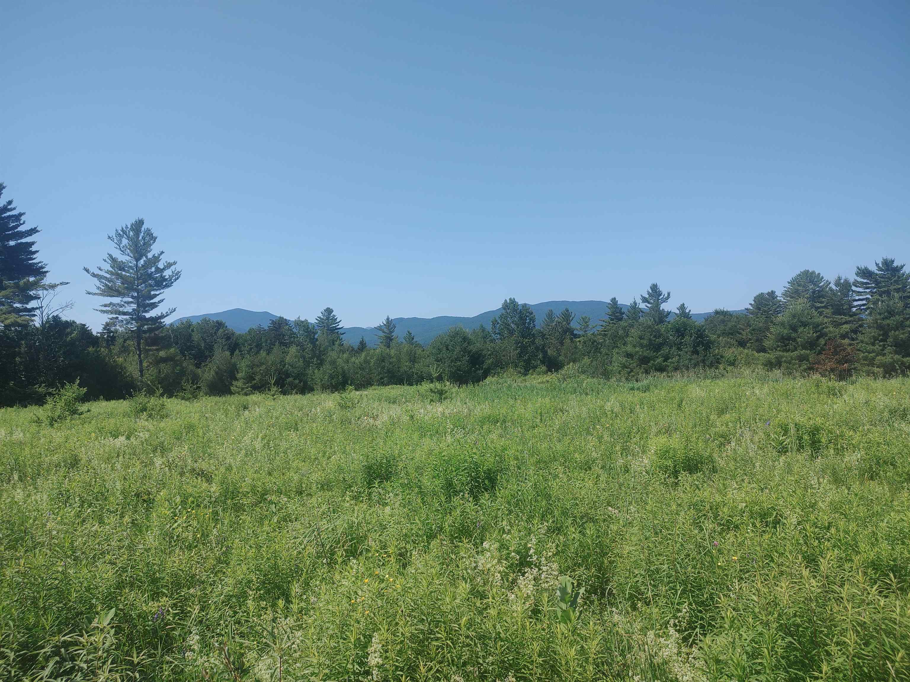 0 Plot Road Property Photo 4