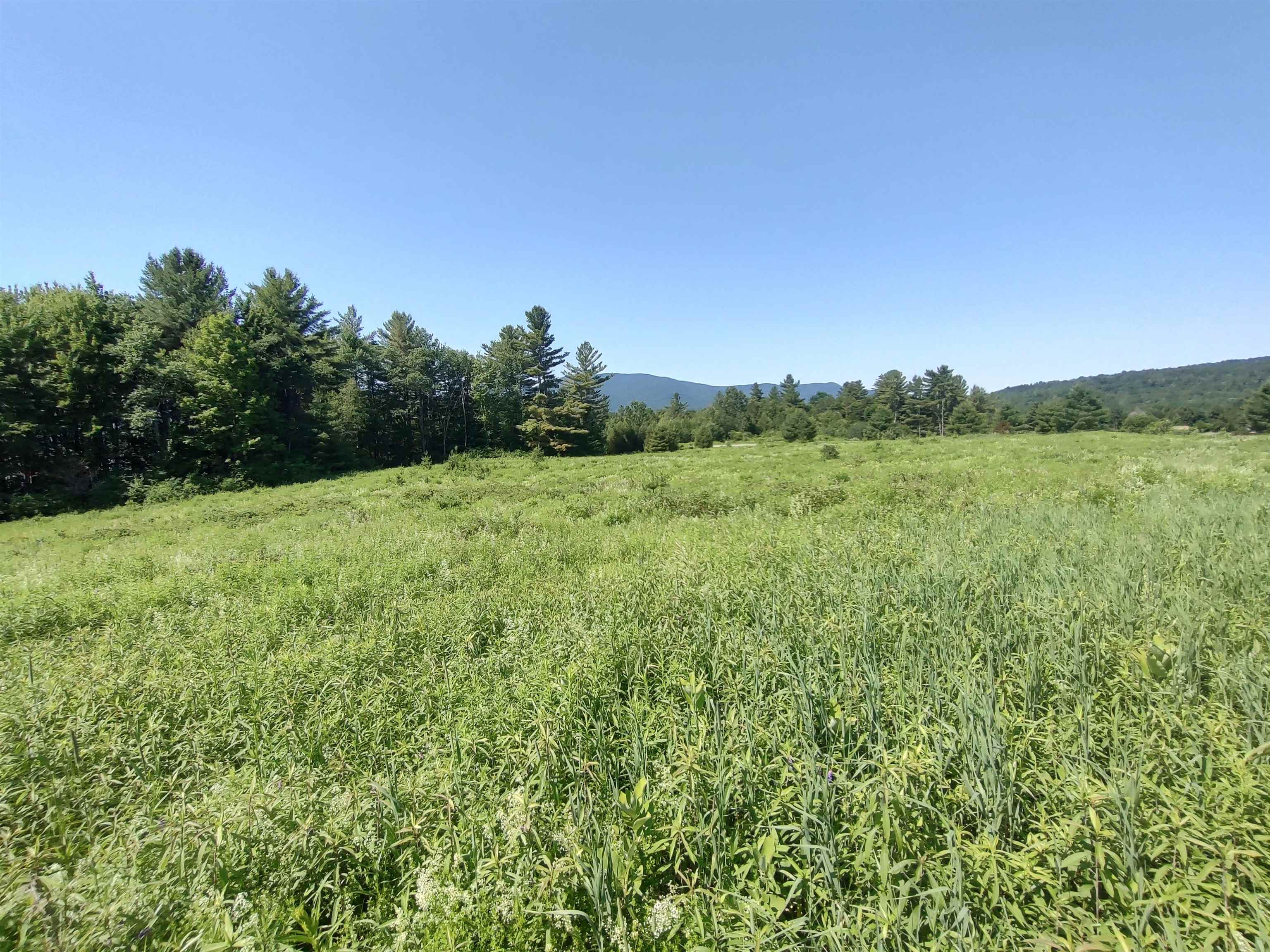 0 Plot Road Property Photo 6