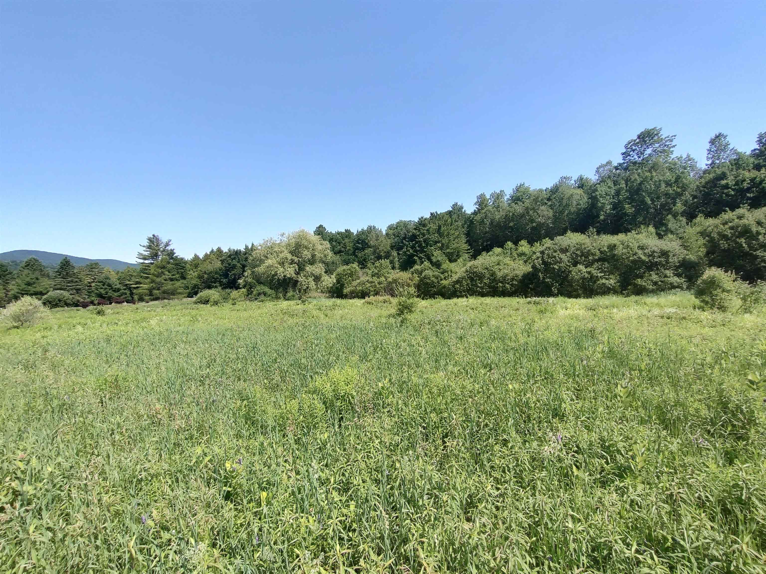 0 Plot Road Property Photo 7