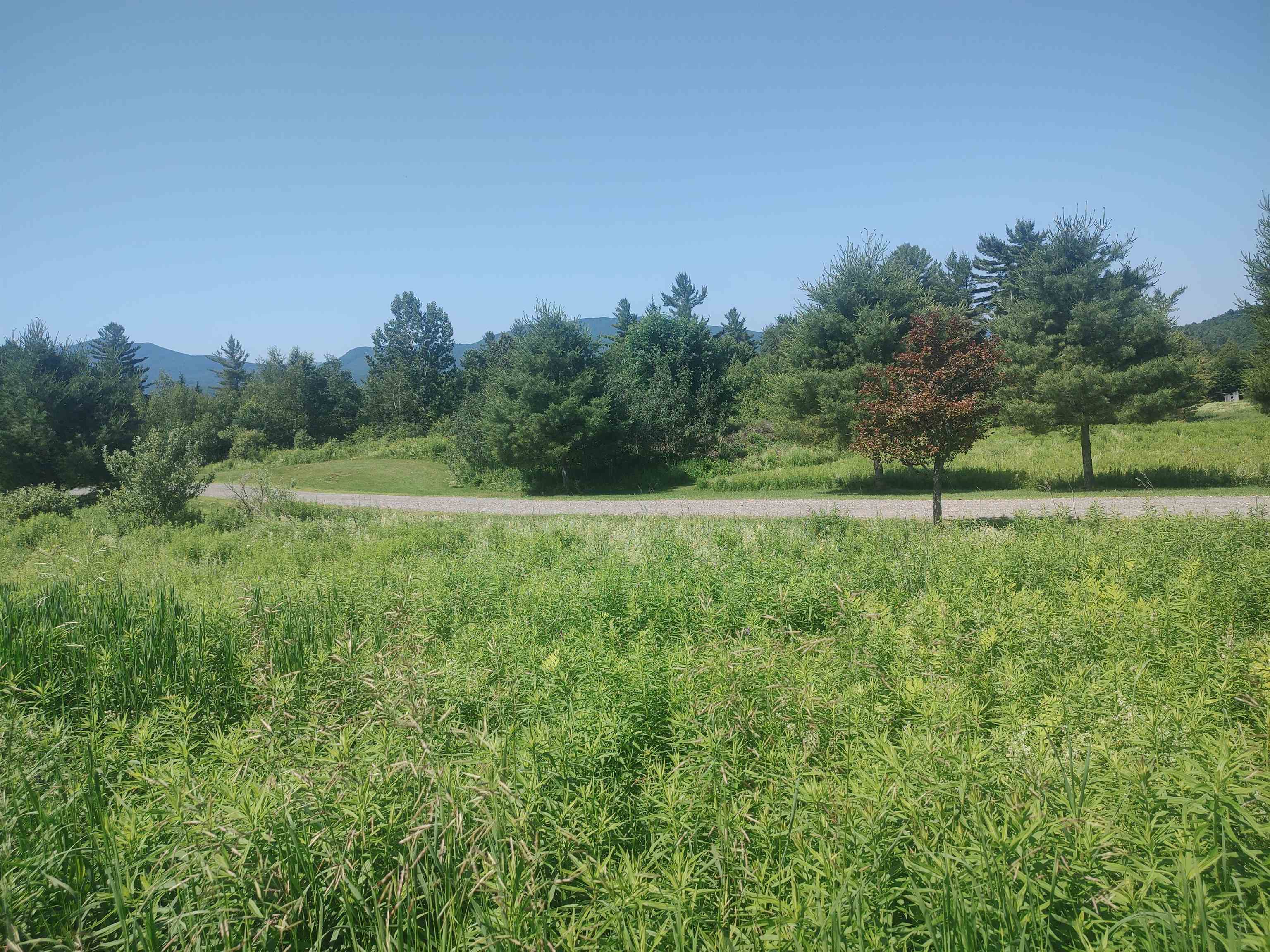 0 Plot Road Property Photo 8