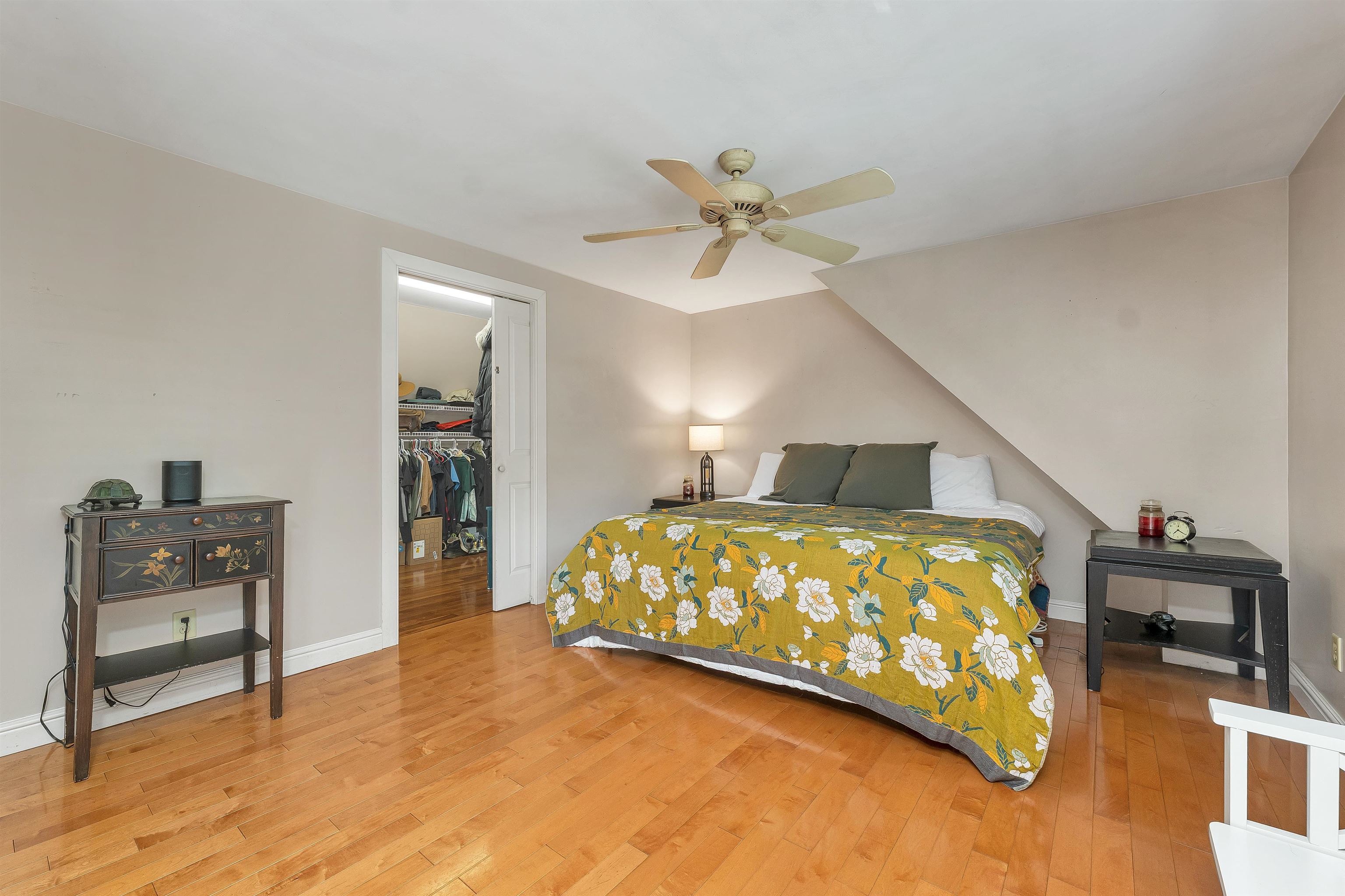 558 Province Road Property Photo 25