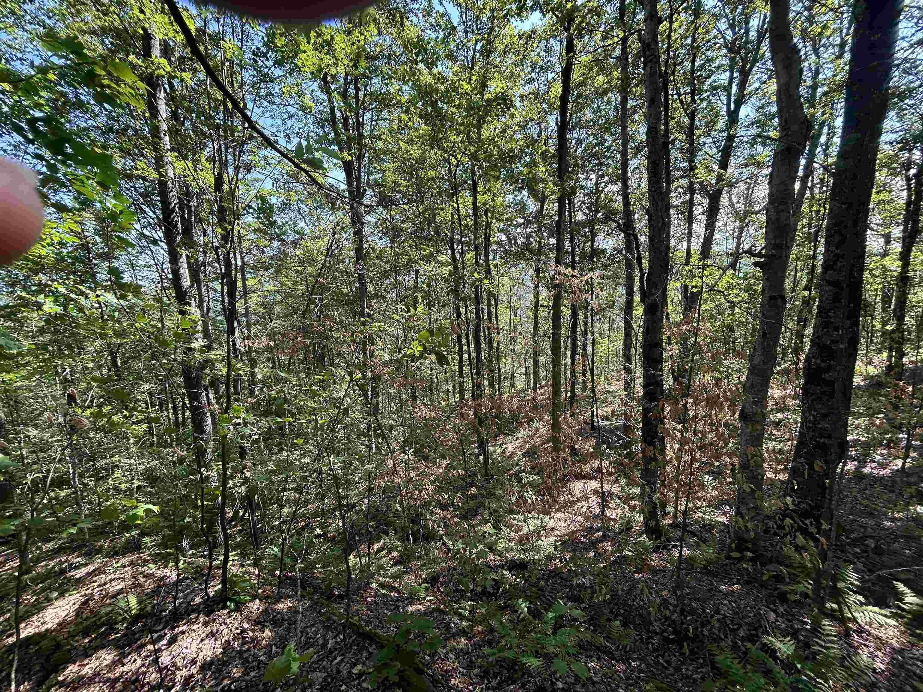 0 Rose Lane Property Photo 7