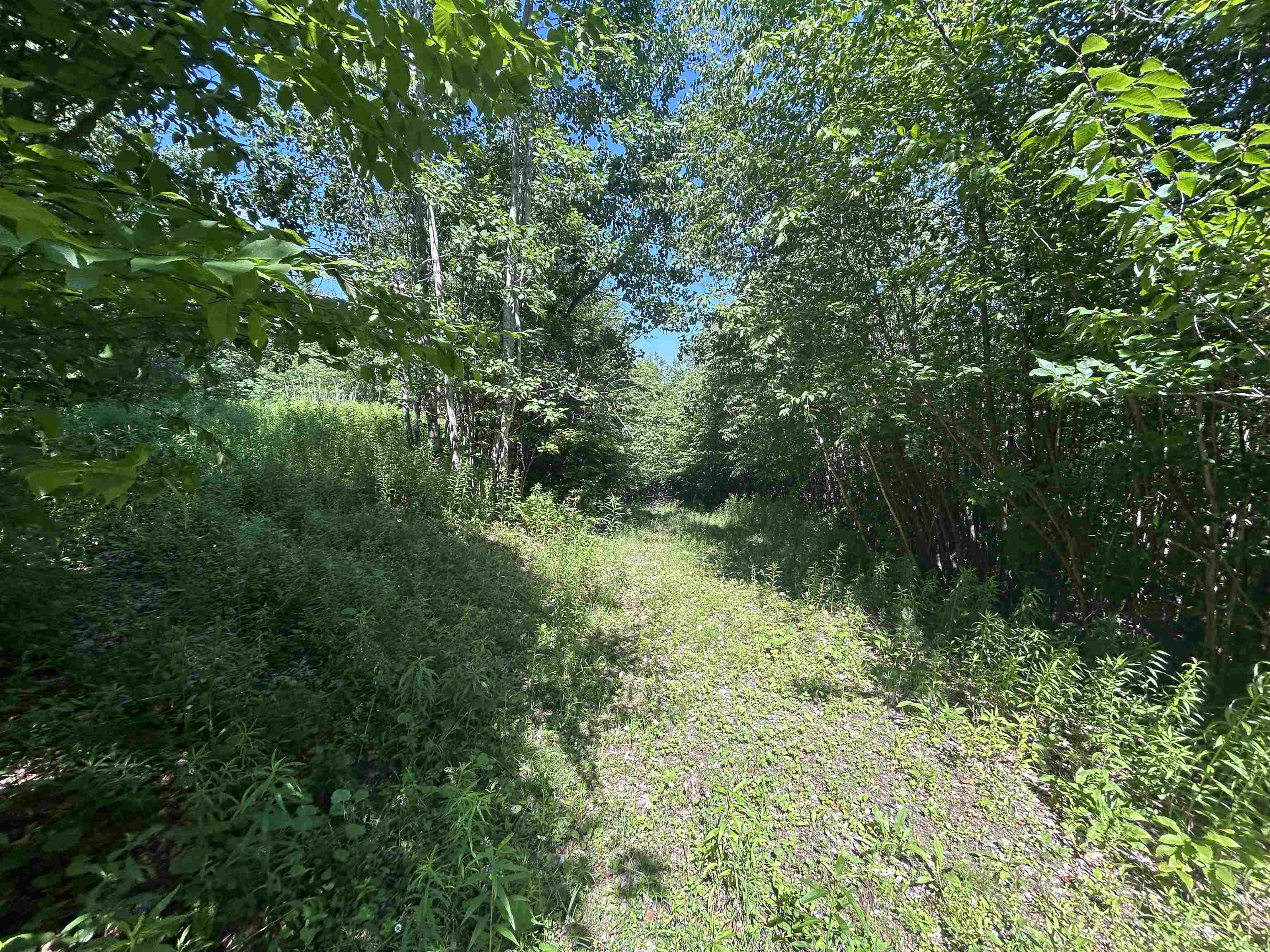 0 Rose Lane Property Photo 21
