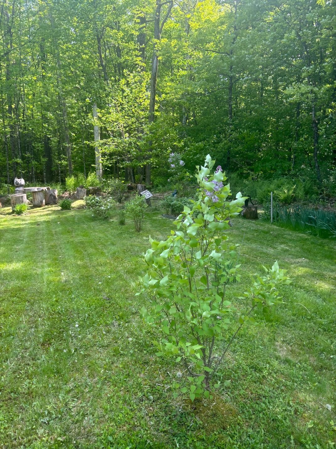 530 Marlow Road Property Photo 11
