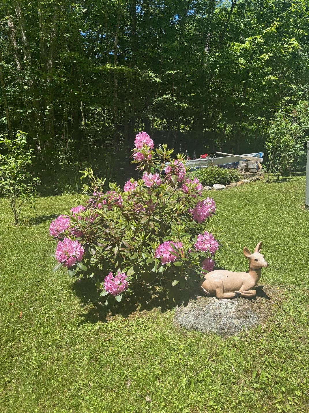 530 Marlow Road Property Photo 15