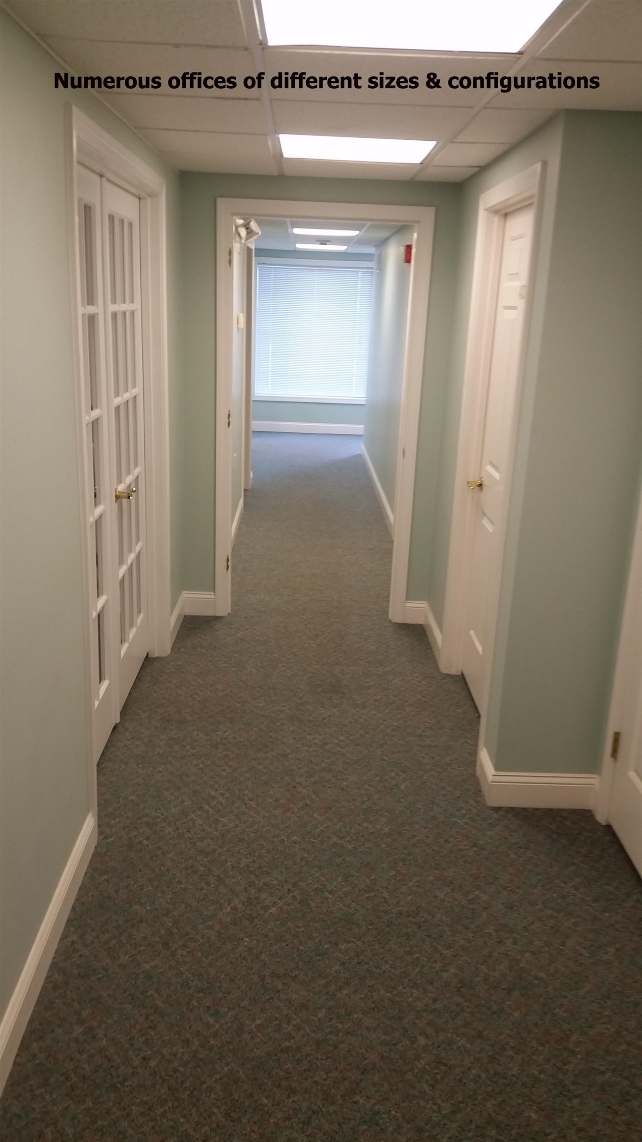 6-4b Mary Clark Drive Property Photo 6