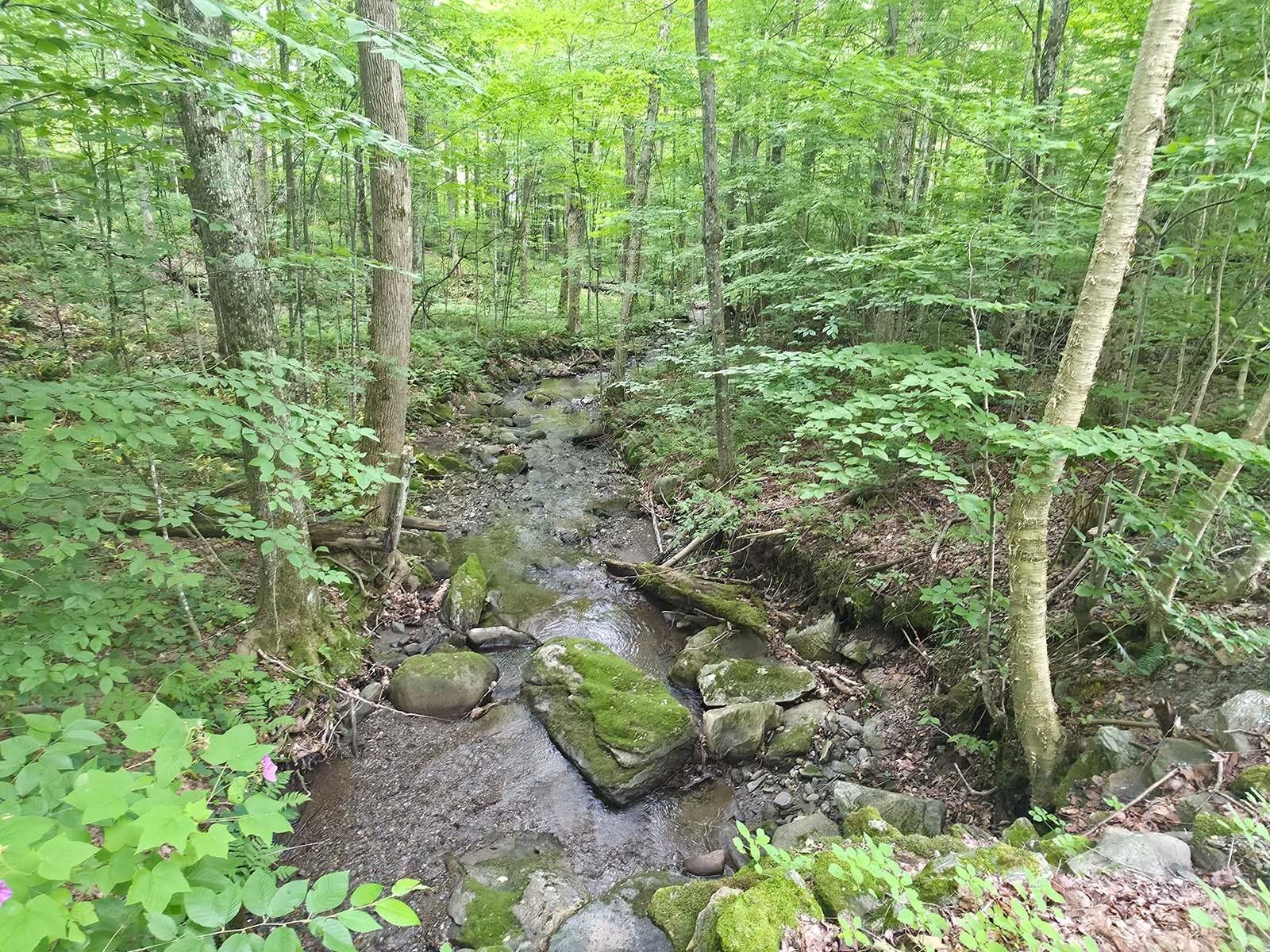 1483 Enosburg Mountain Road Property Photo 5