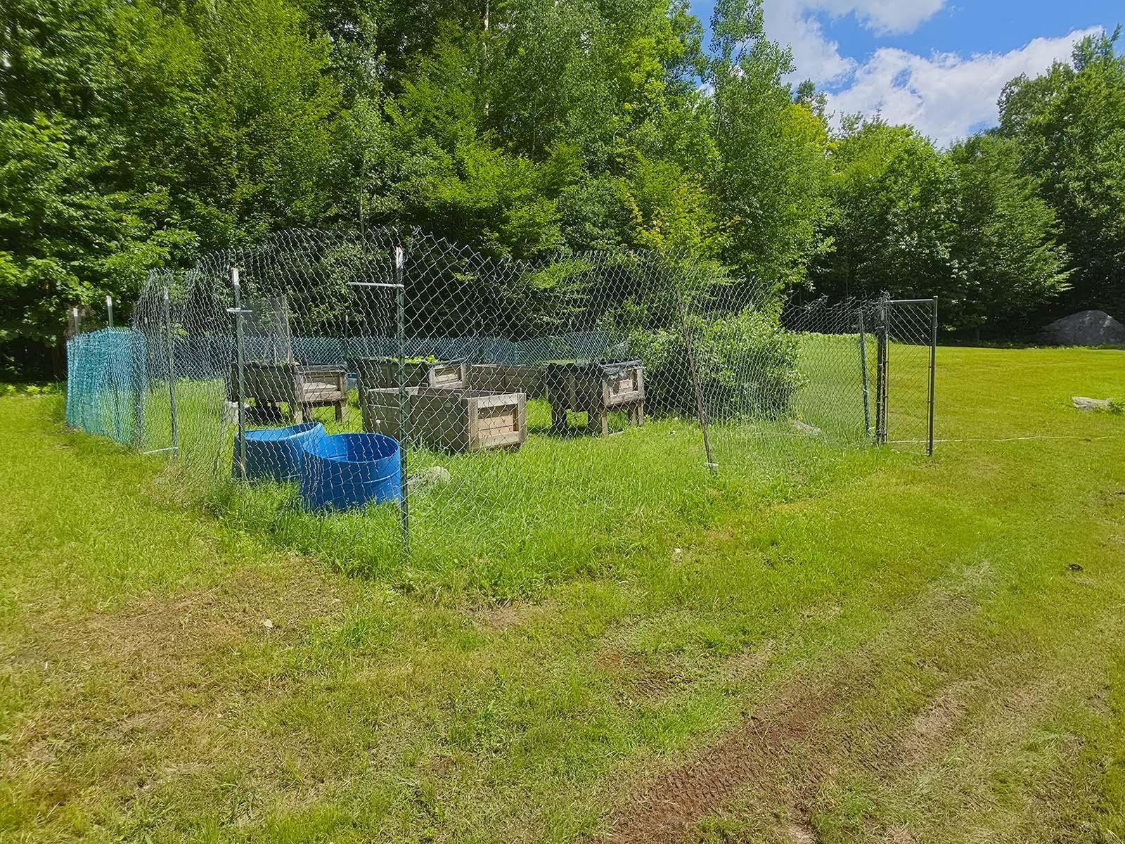 1483 Enosburg Mountain Road Property Photo 18