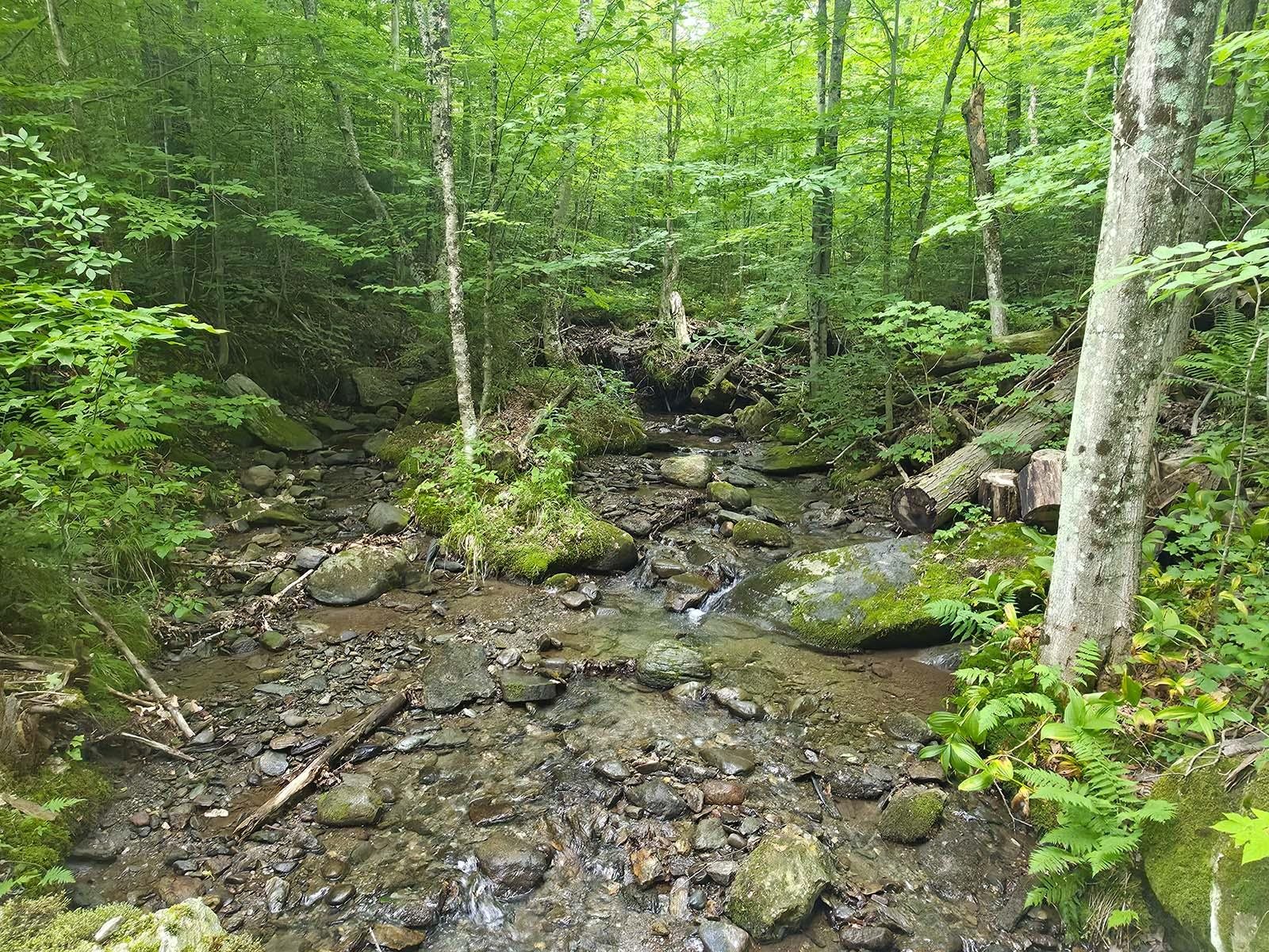 1483 Enosburg Mountain Road Property Photo 41