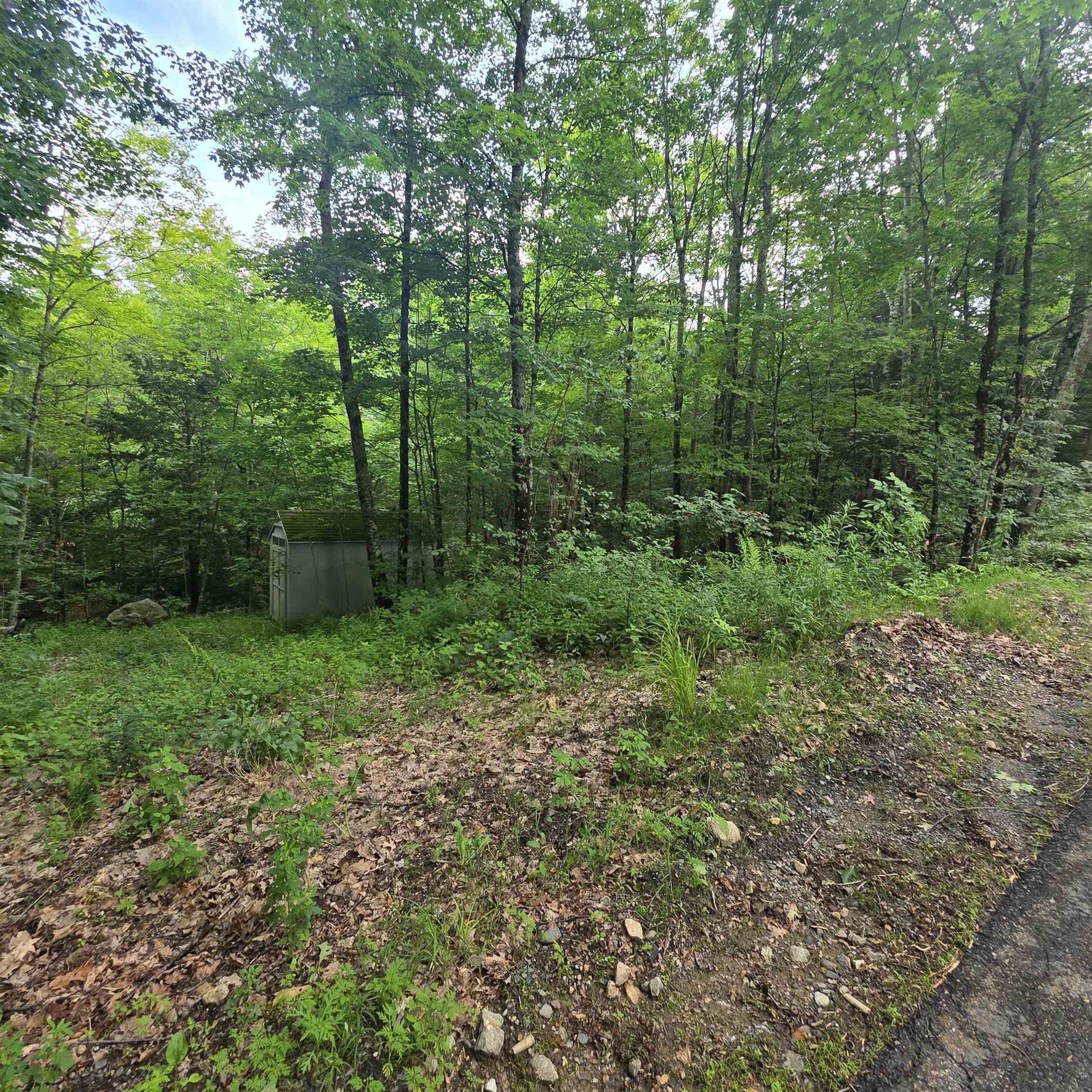 Lot 4b-29-2 Joslin Road Property Photo 6