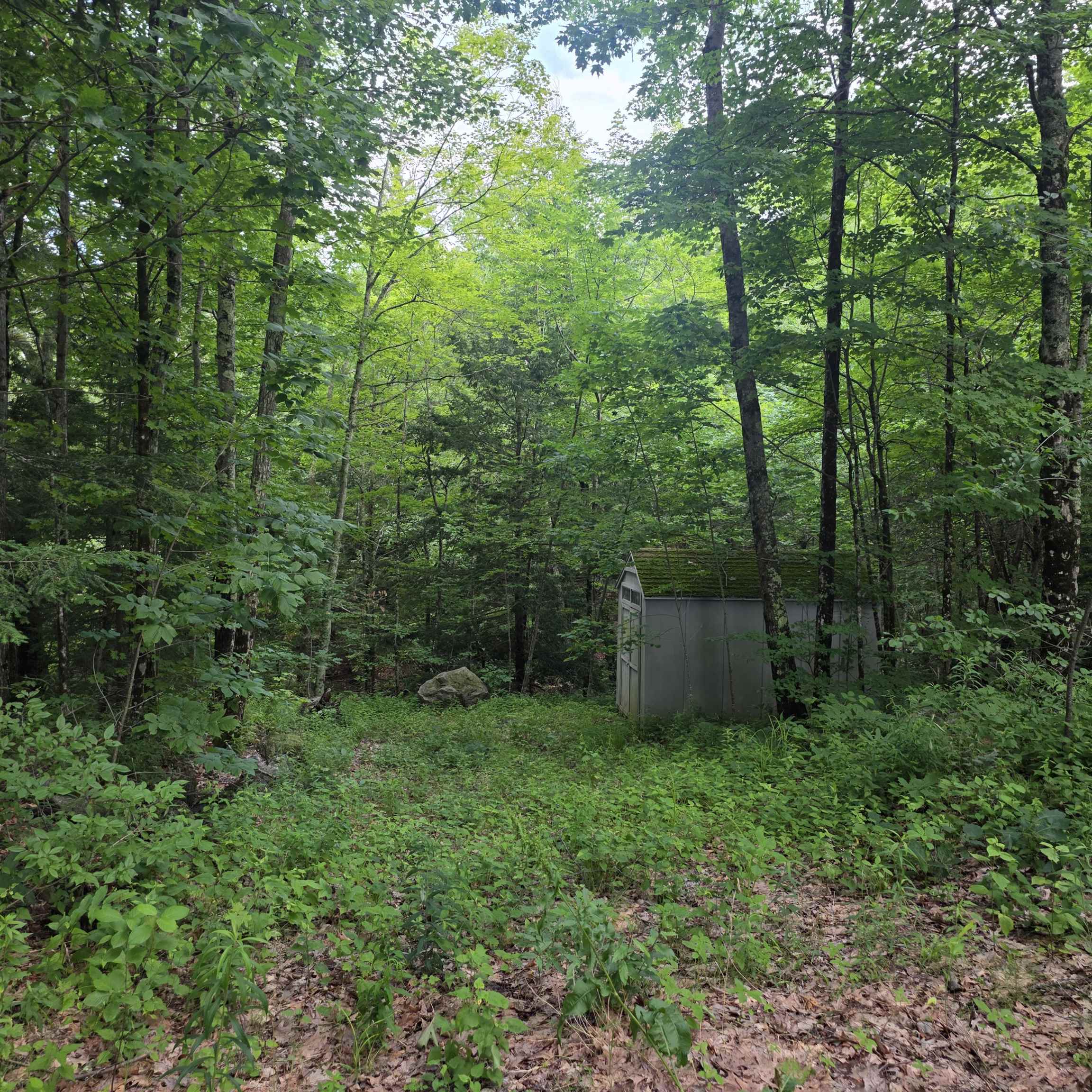 Lot 4b-29-2 Joslin Road Property Photo 7