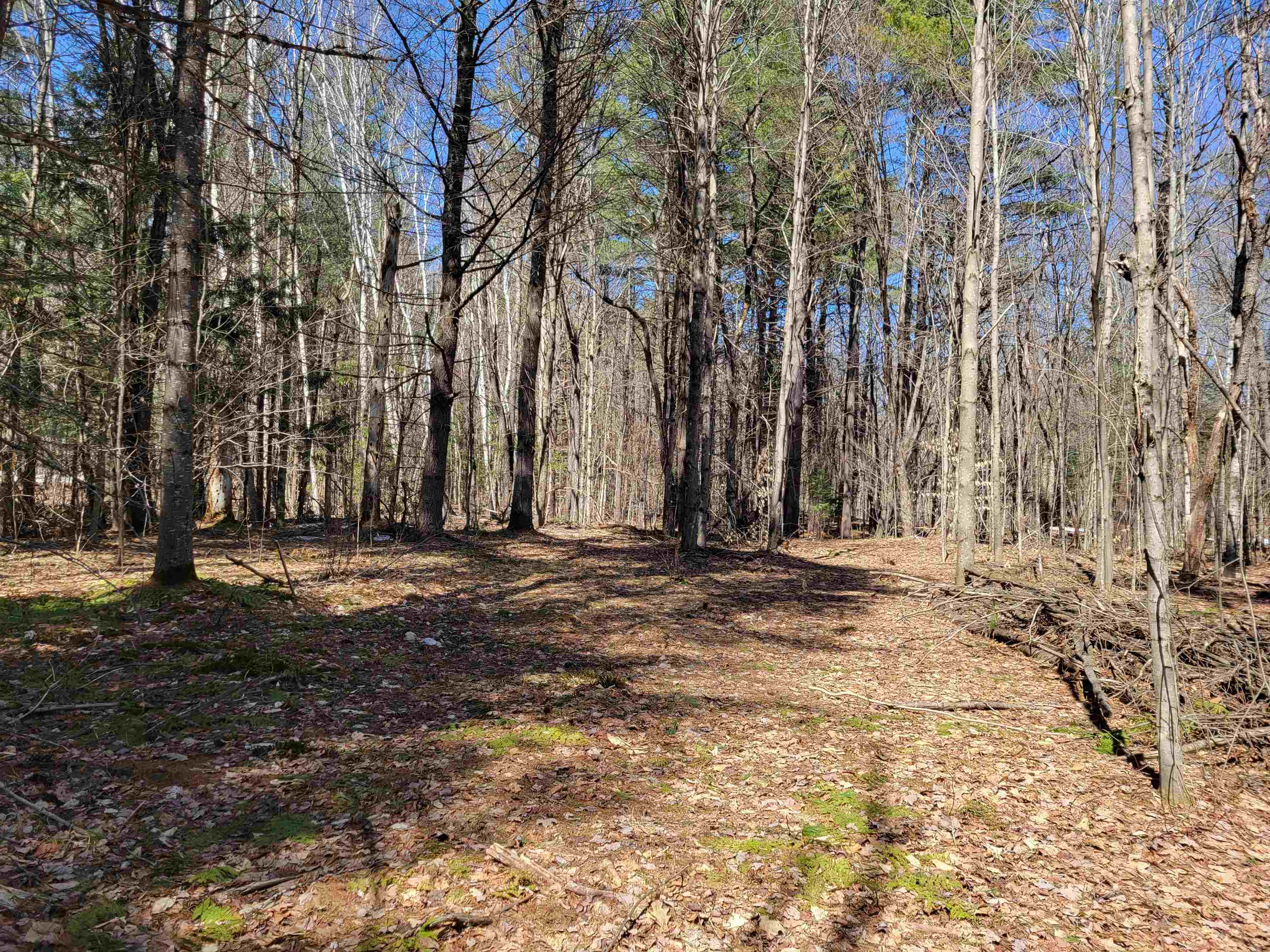 Map 105 Lot 20 Lost River Road Property Photo 4