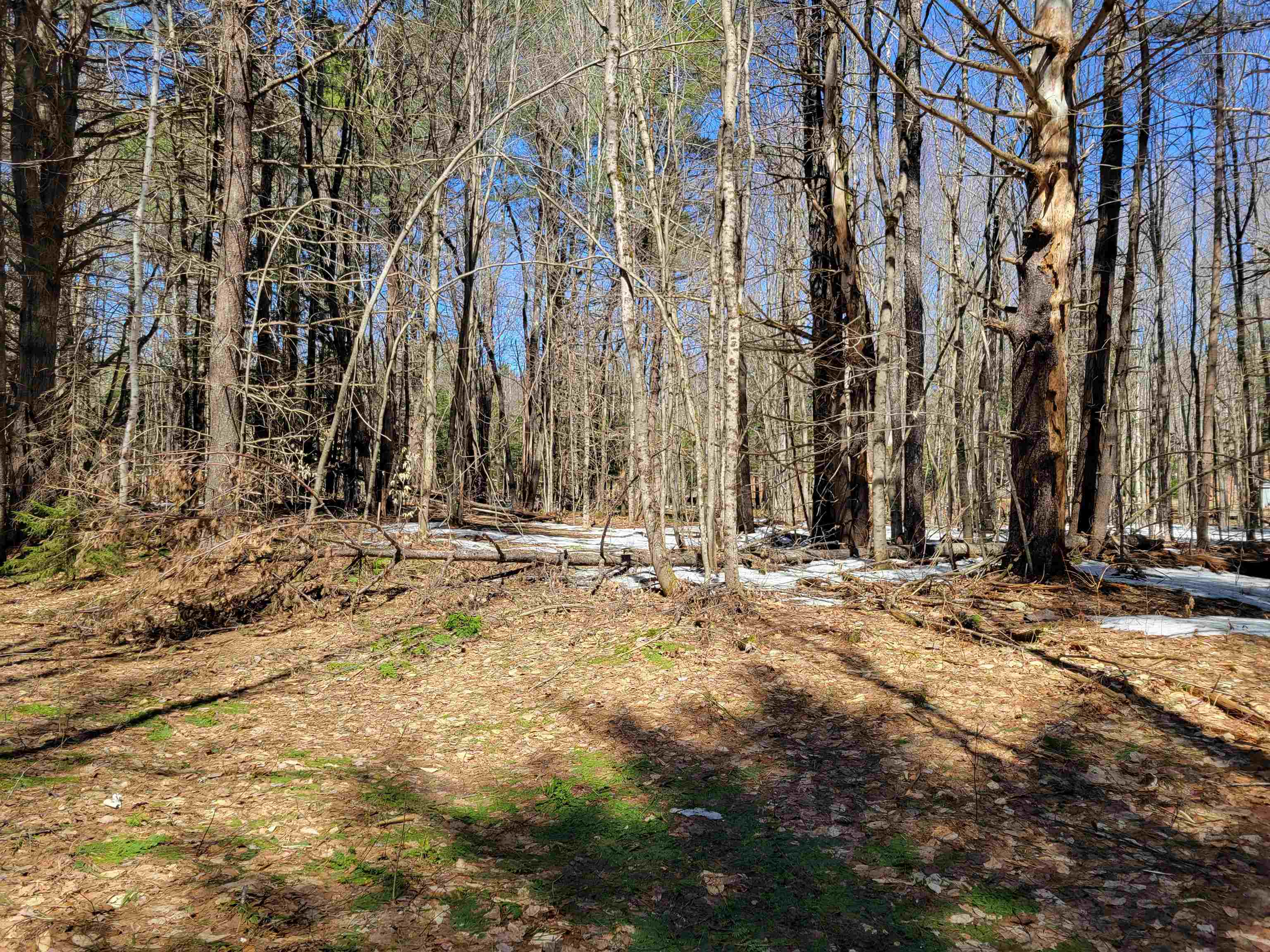 Map 105 Lot 20 Lost River Road Property Photo 7