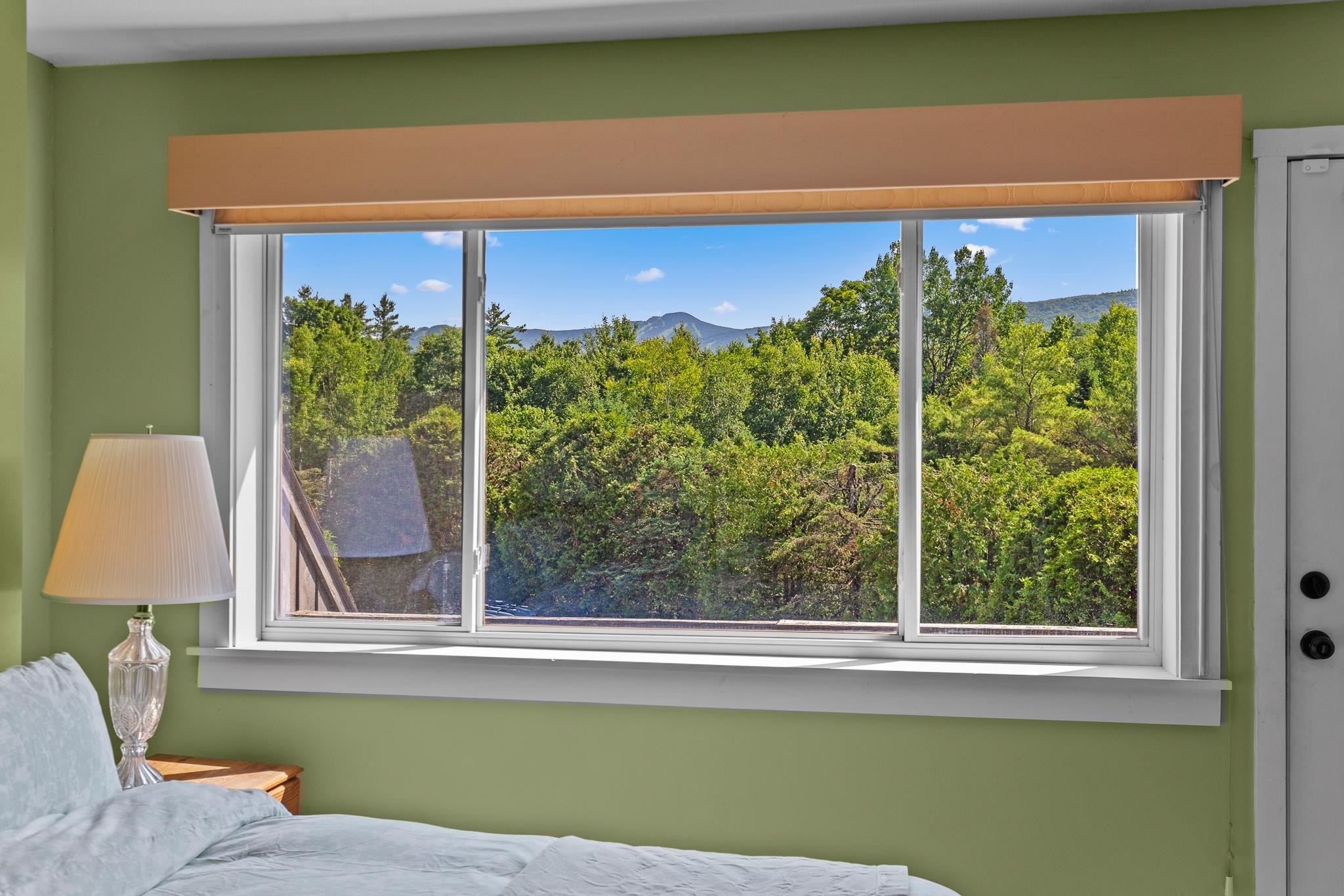 321 Moon Ridge Road Property Photo 21