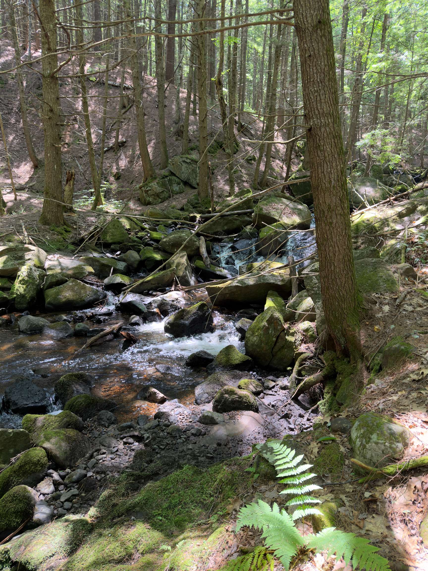1275 Old Route 25 Road Property Photo 26