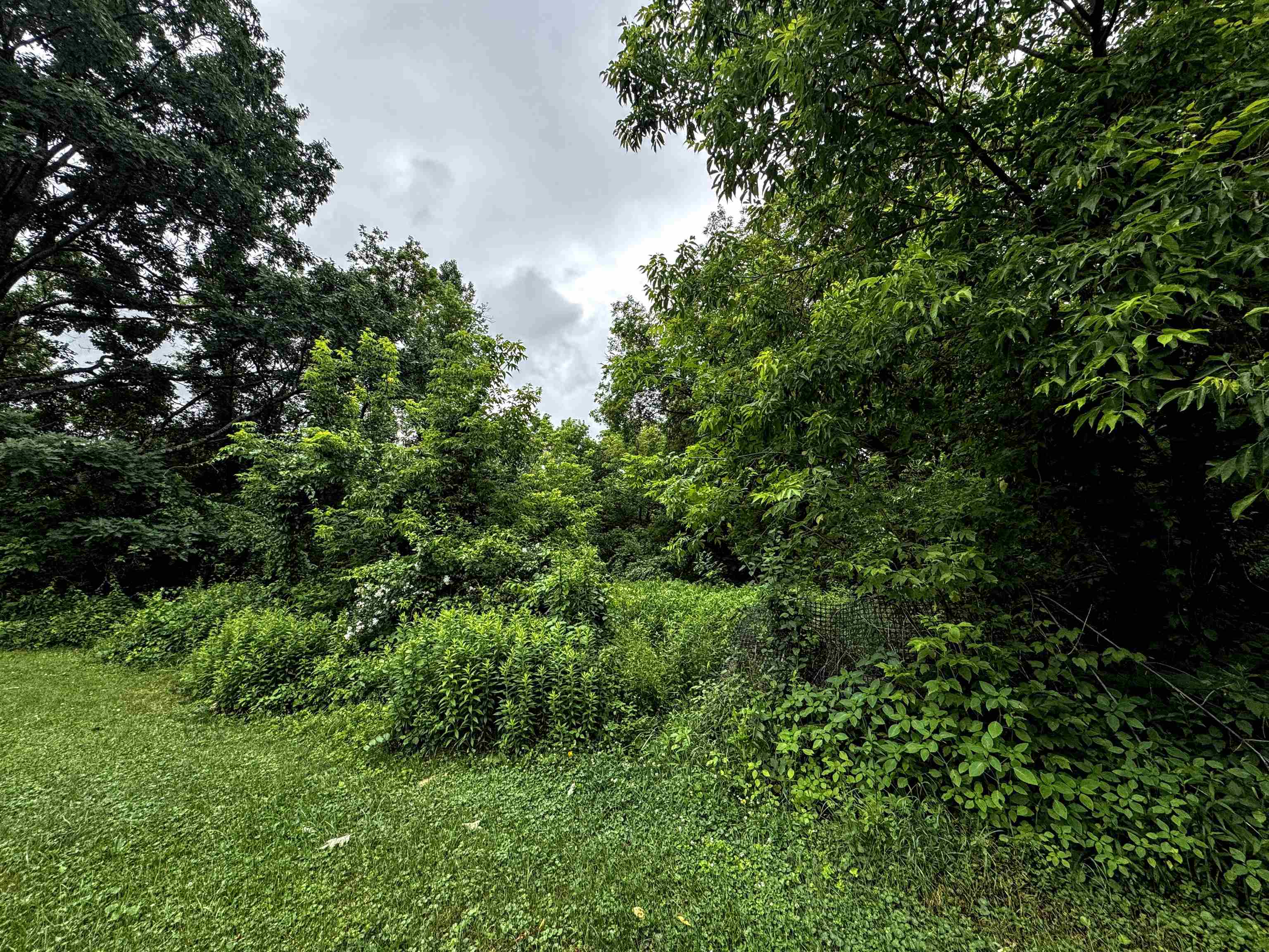 118 Foster Drive Property Photo 47