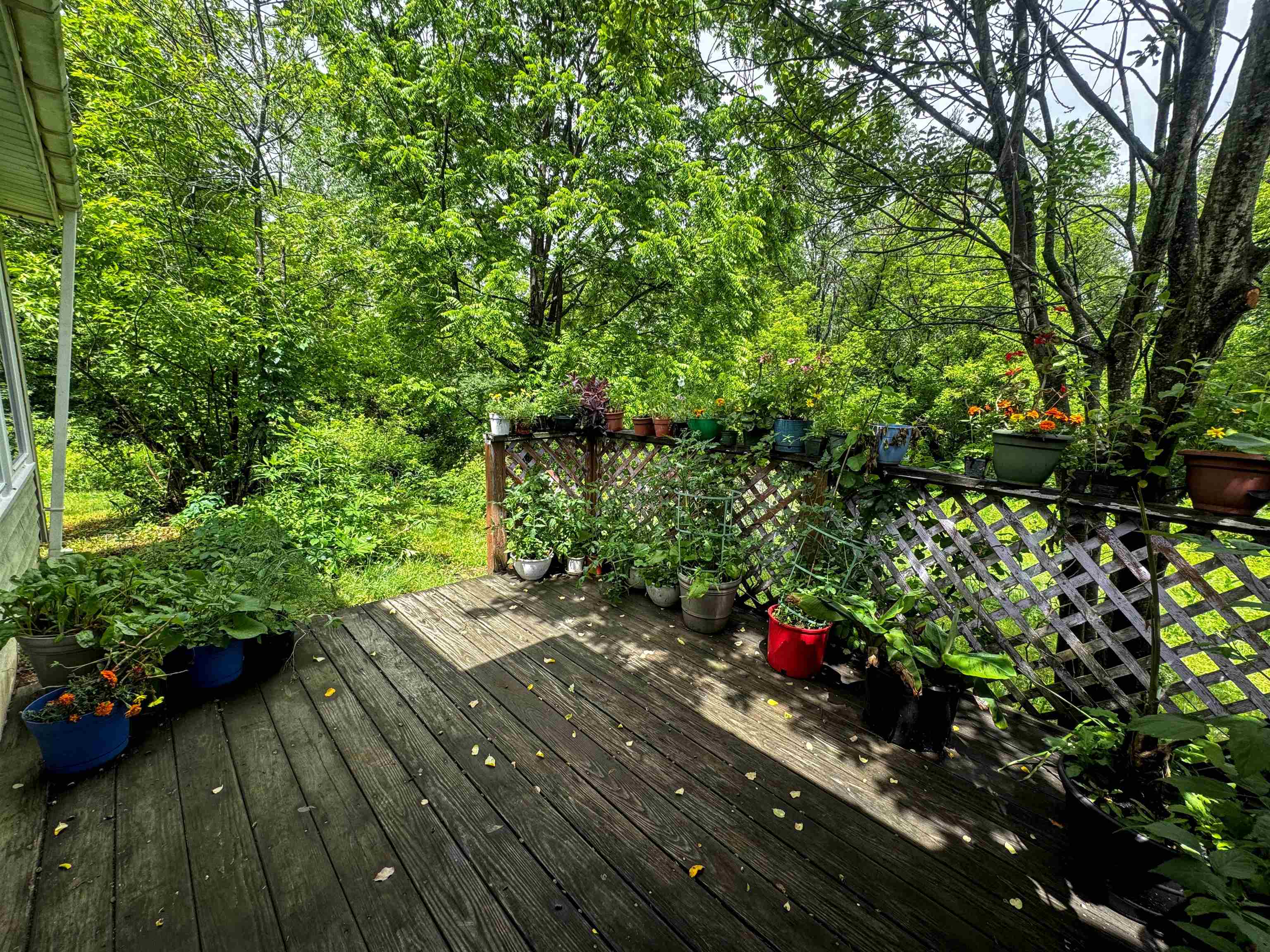 118 Foster Drive Property Photo 54