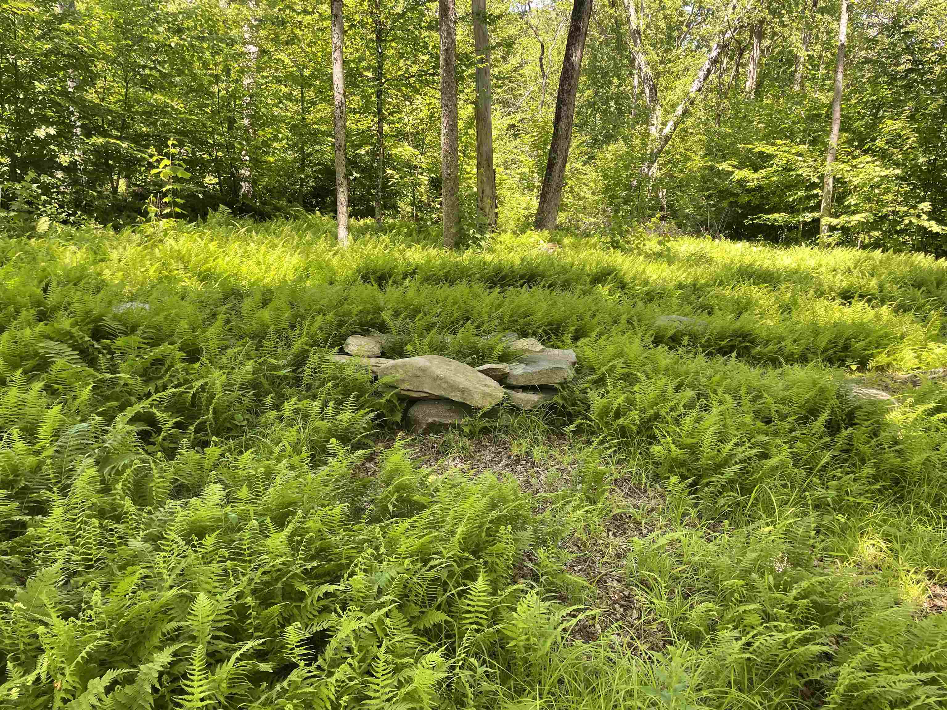 1408 Hatch School Road Property Photo 35