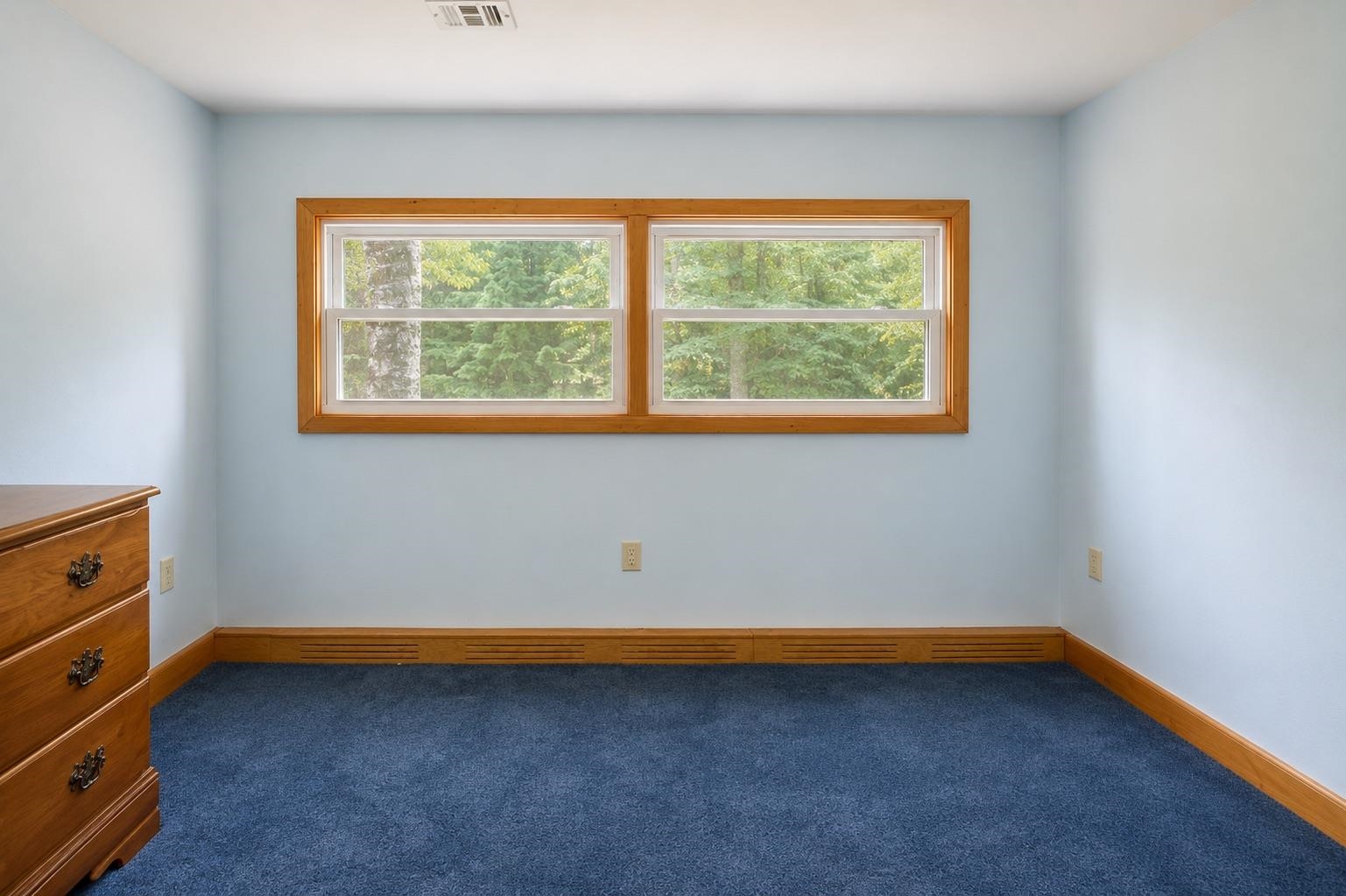 98 Thibodeau Lane Property Photo 27
